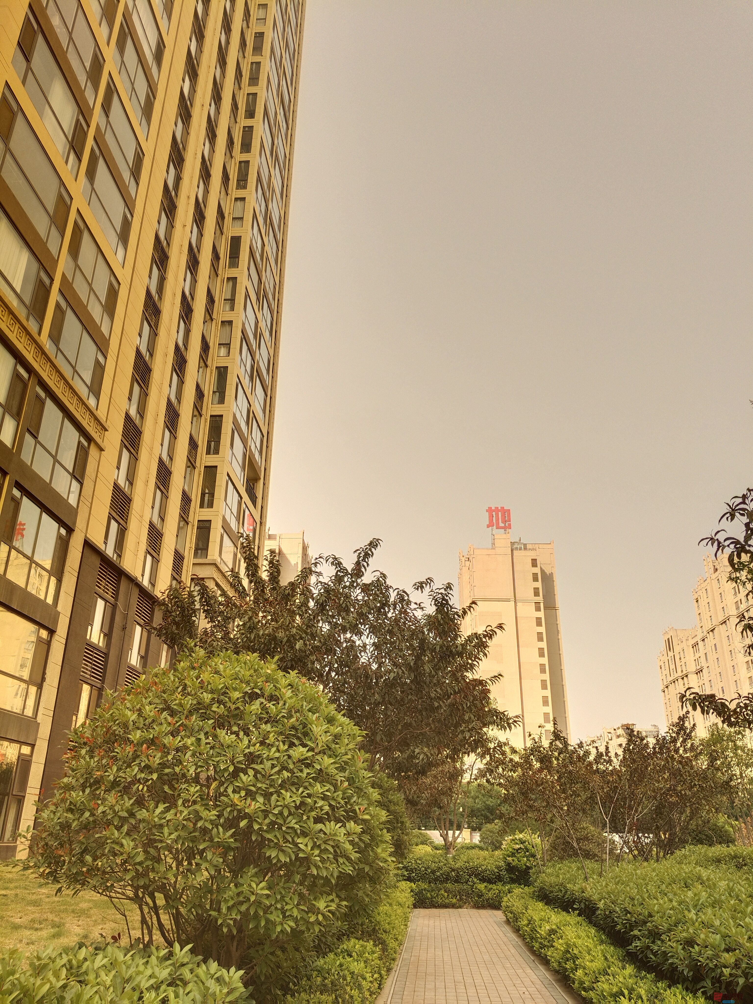 吕卫东_20250524170503 (5).jpg
