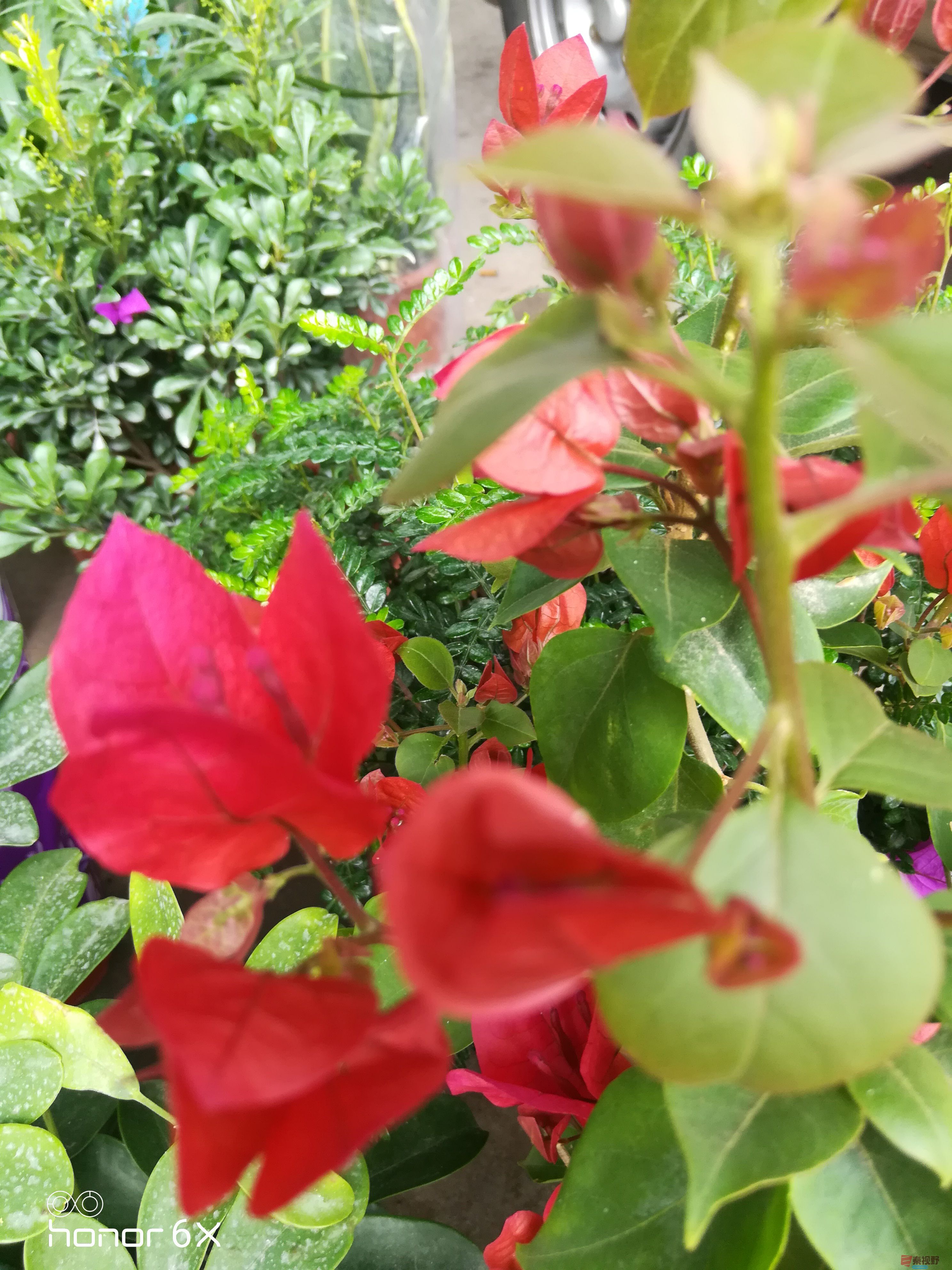 IMG_20190623_112801.jpg
