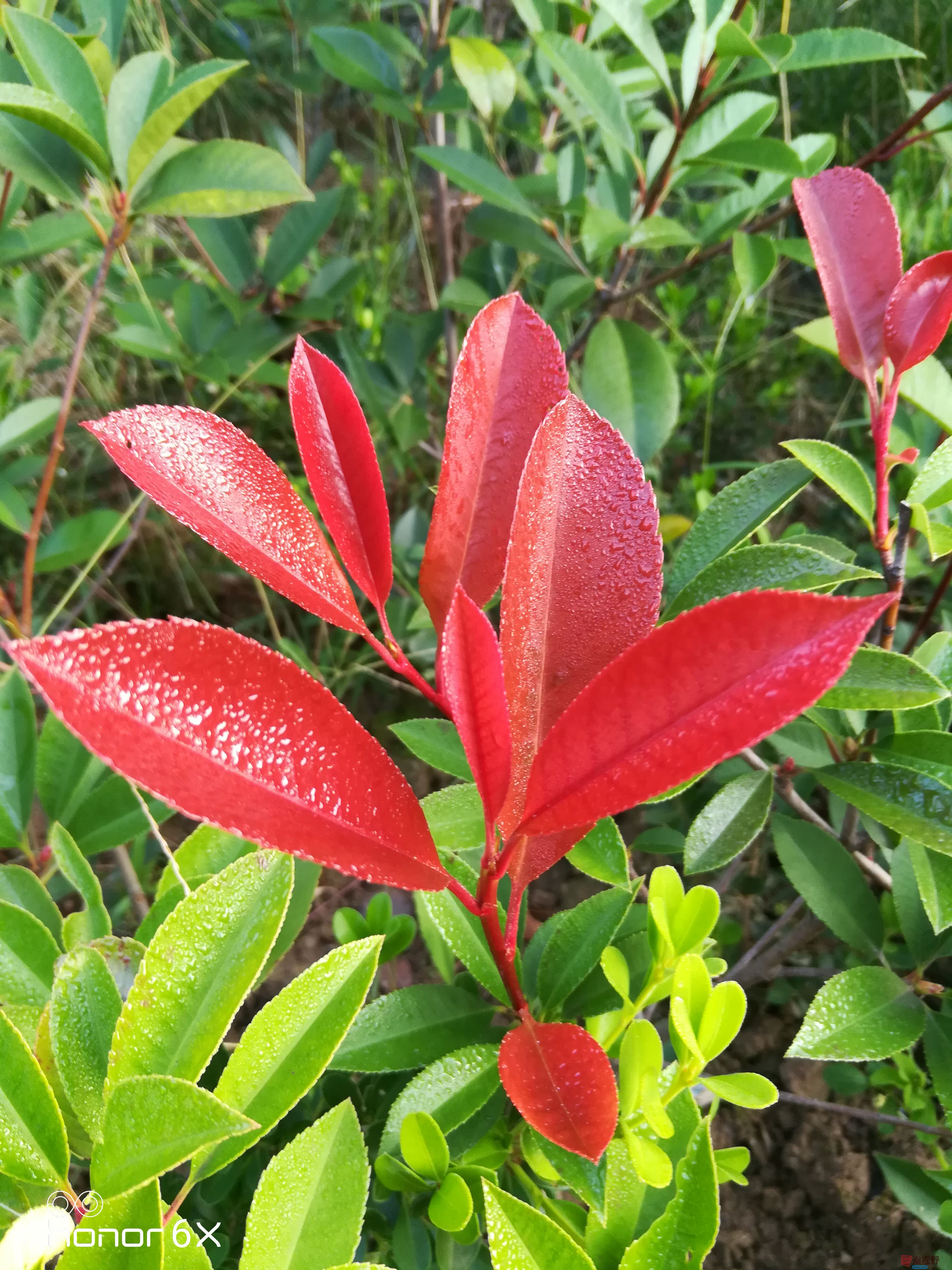 IMG_20190923_072637.jpg