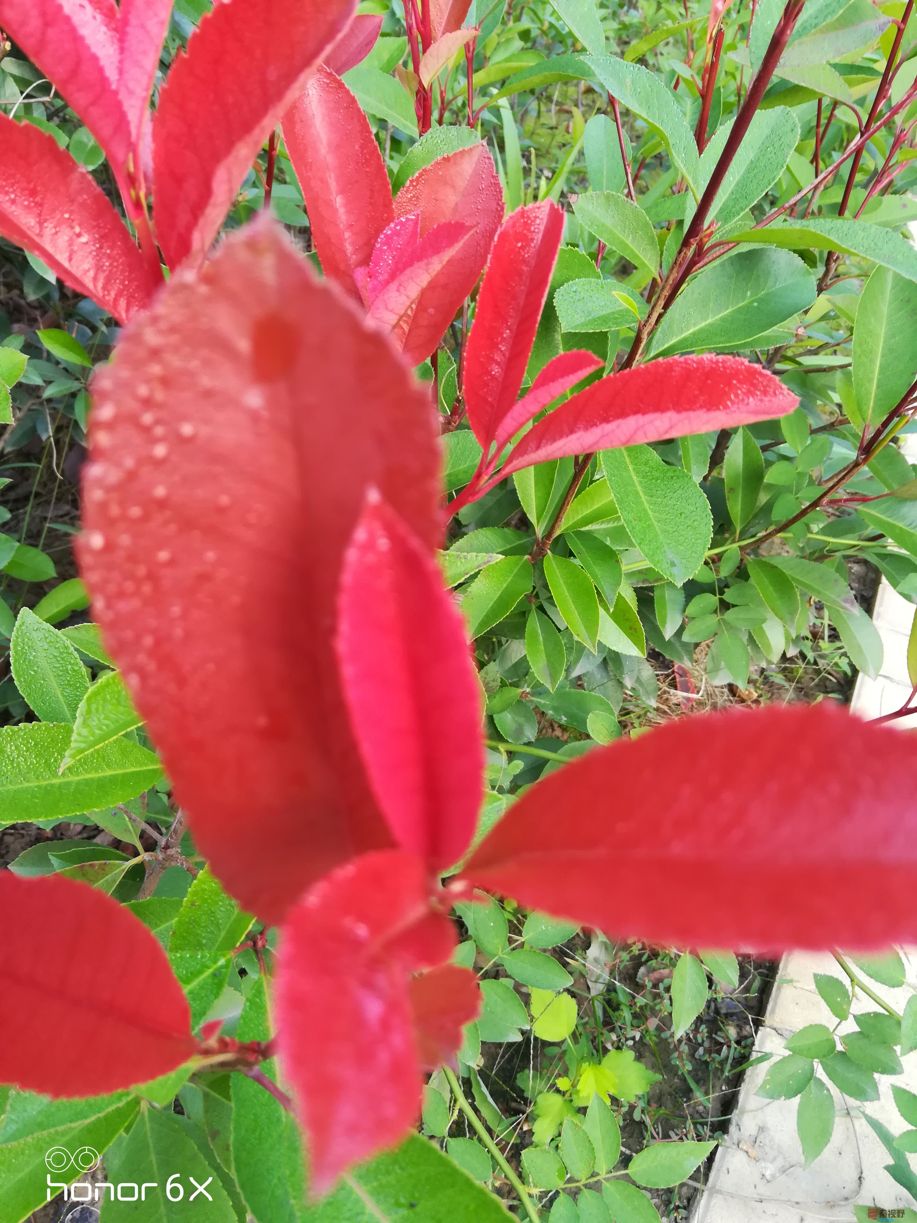 IMG_20190923_073032.jpg
