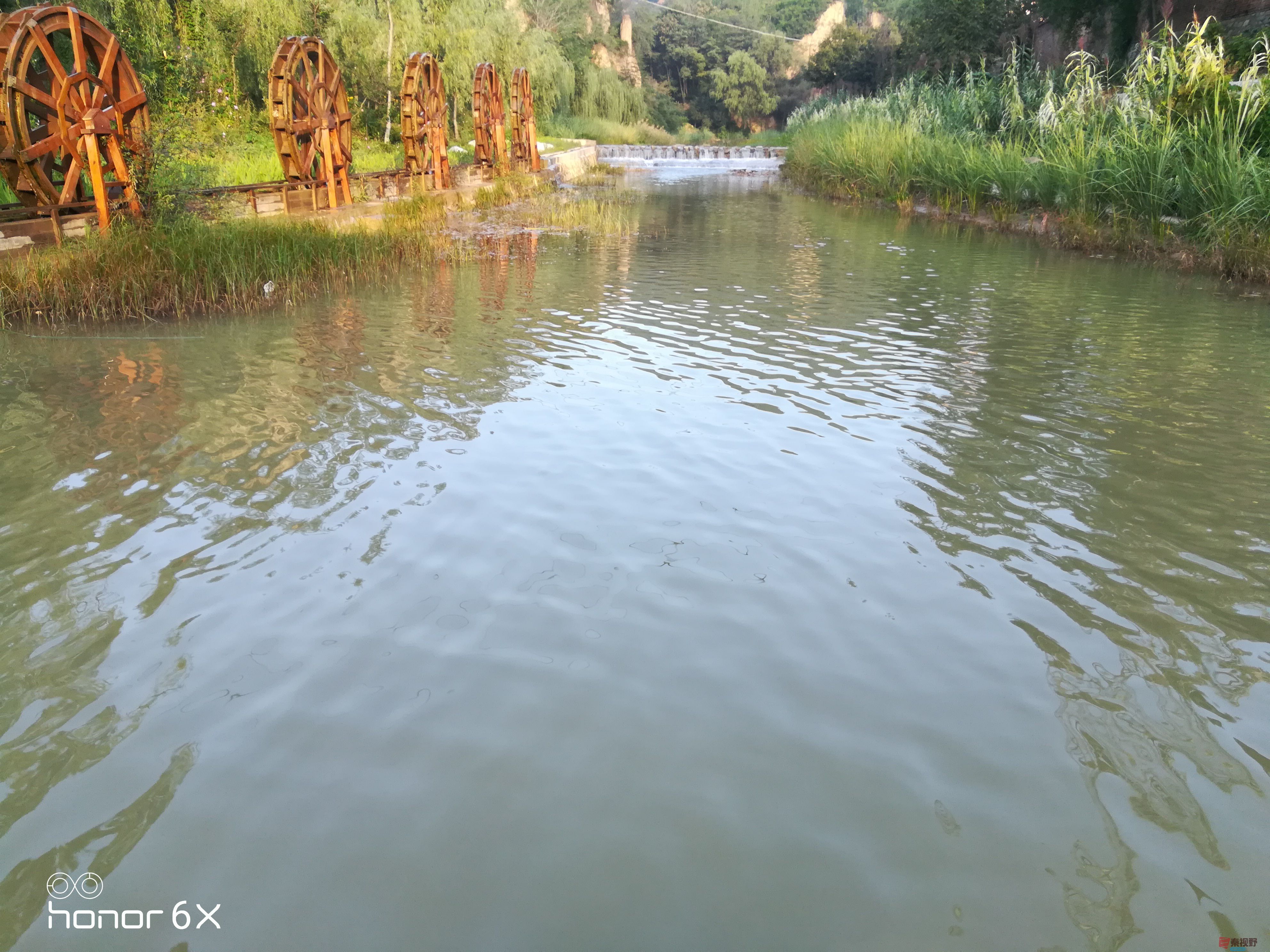 IMG_20190923_073419.jpg