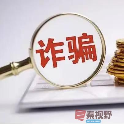 诈骗罪的立案标准及法律后果分析