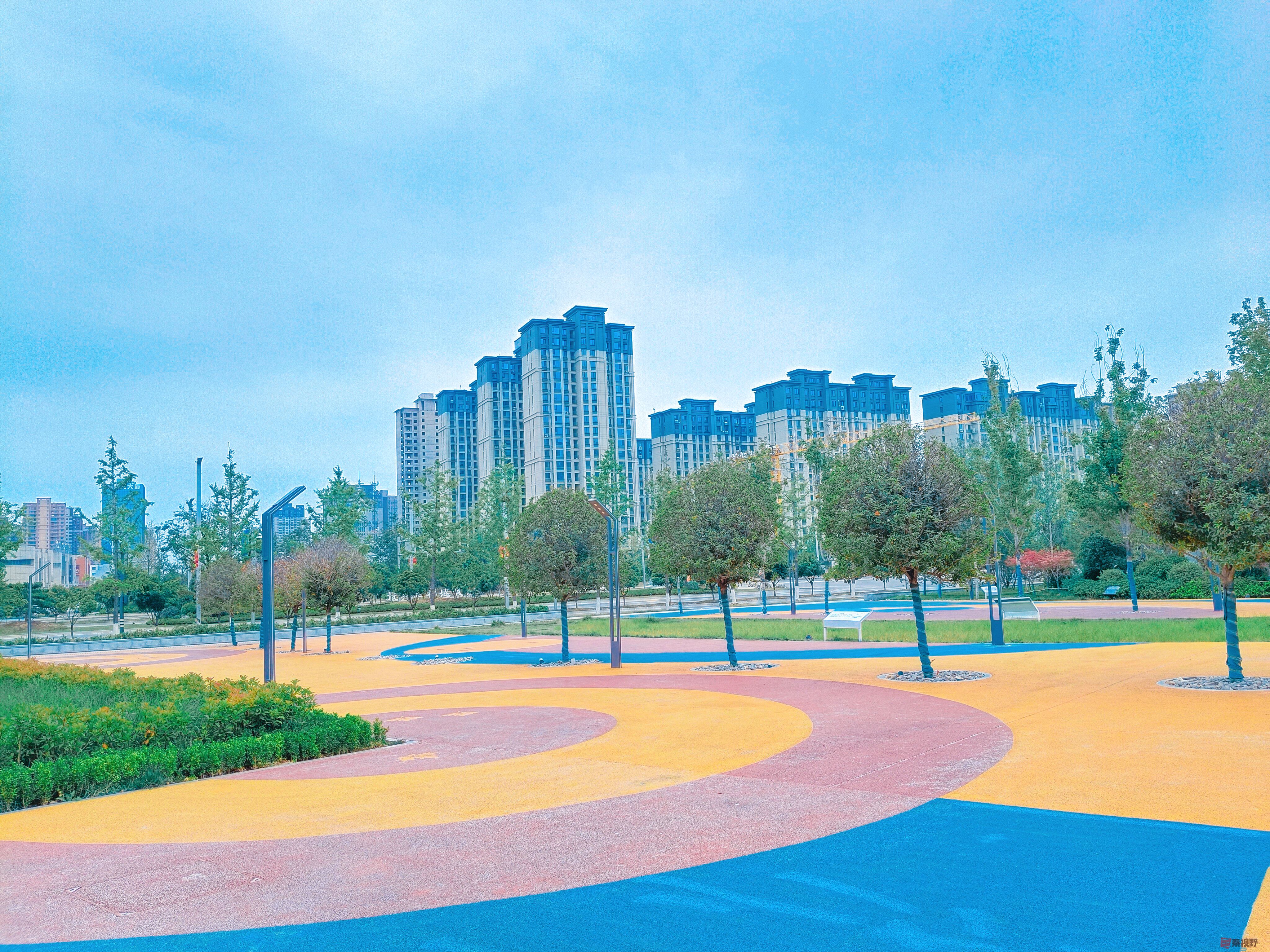 吕卫东_20250530144140 (12).jpg