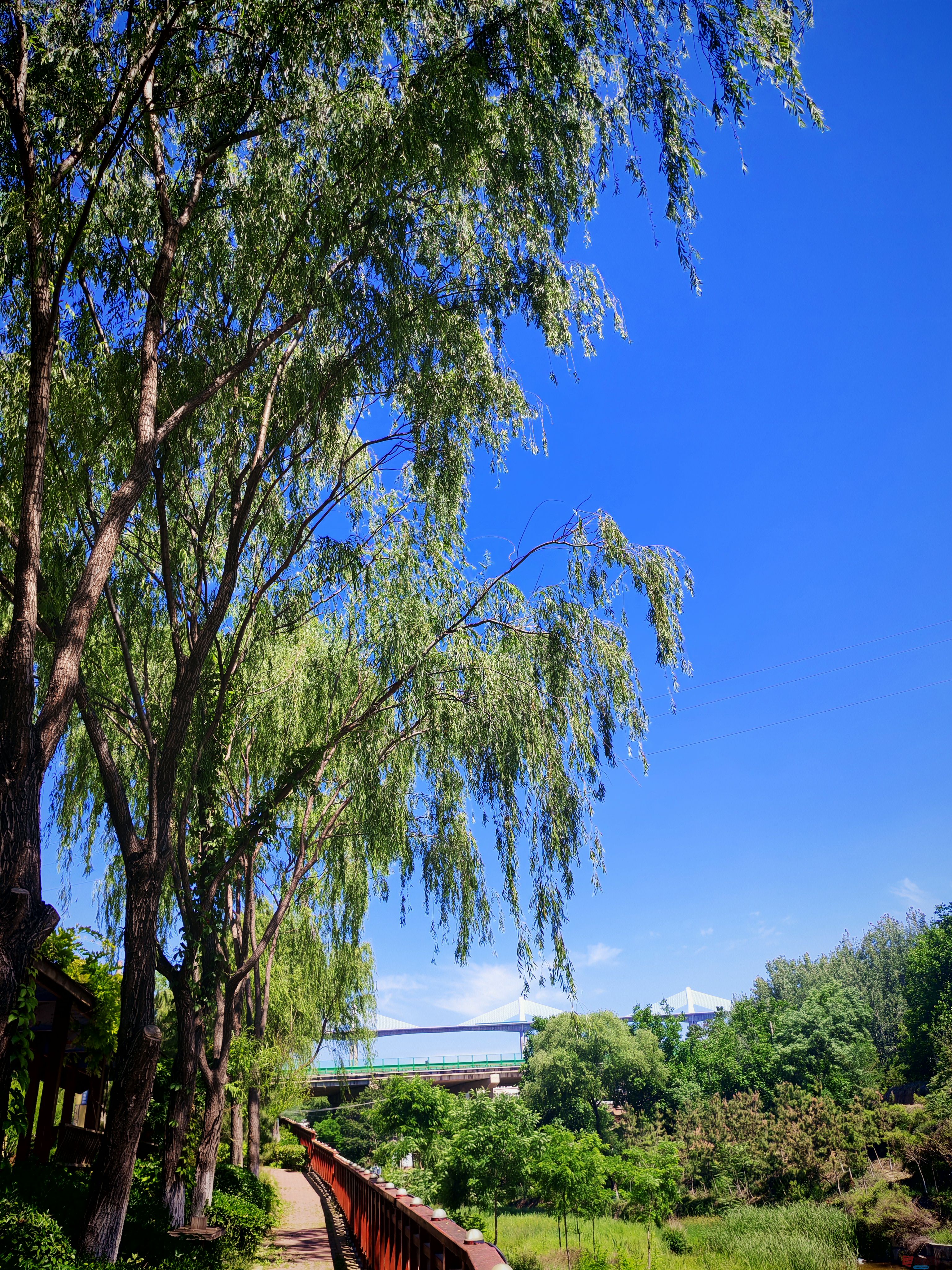 铜川王家河风景旖旎（7）【摄影周春辉】