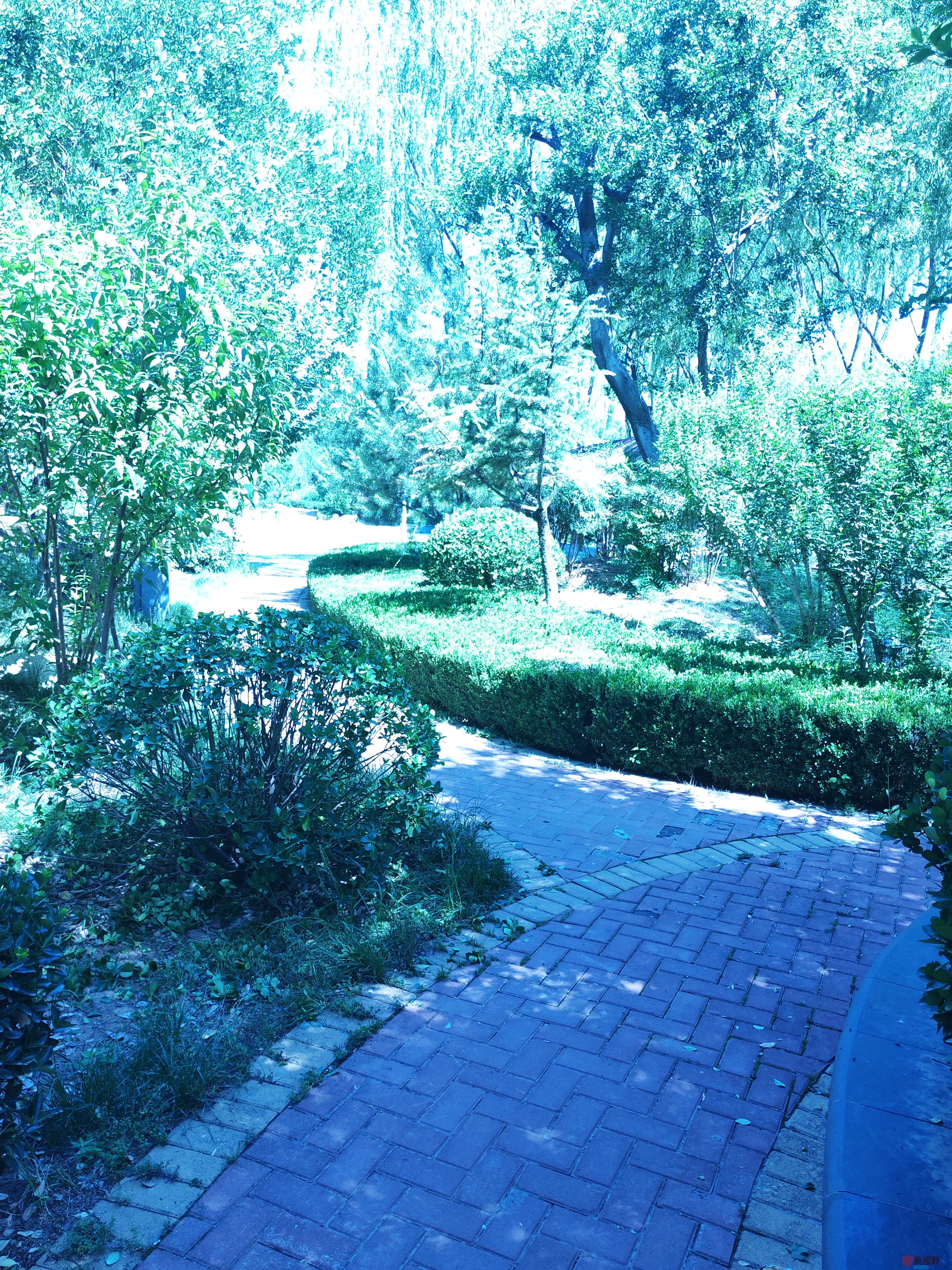 IMG_20250605_103737.jpg