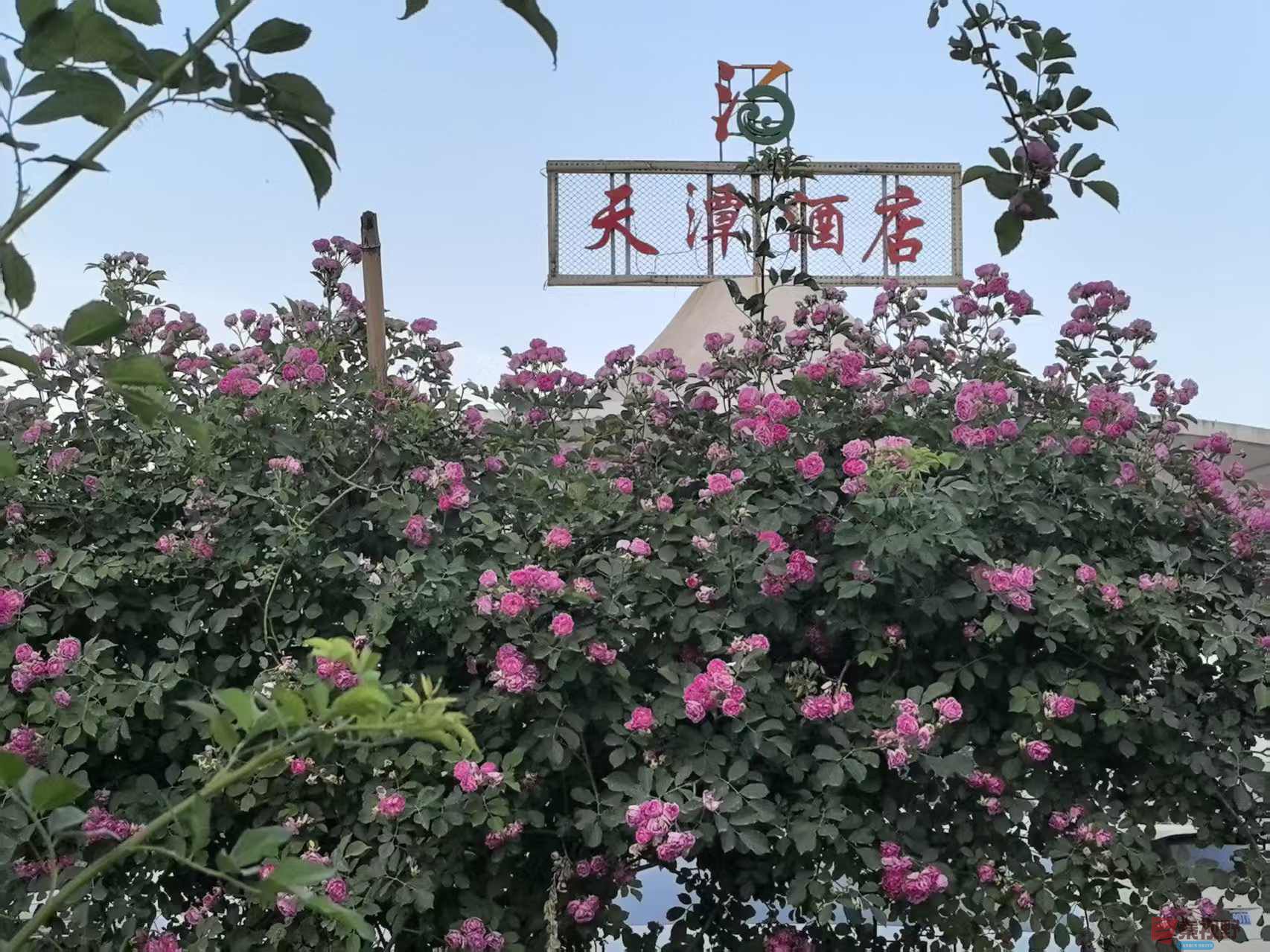 微信图片_20250607160607.jpg