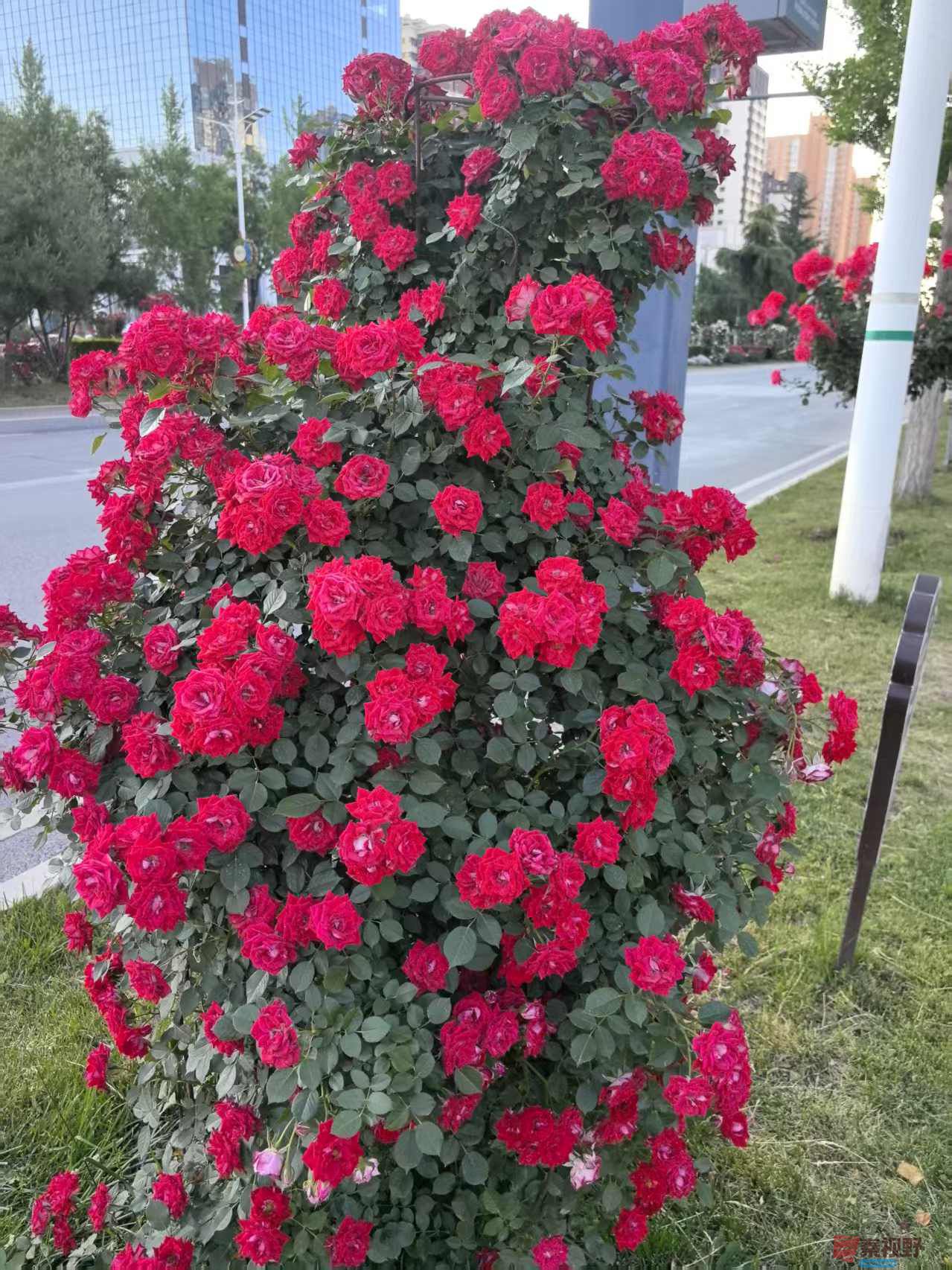 微信图片_20250607160743.jpg