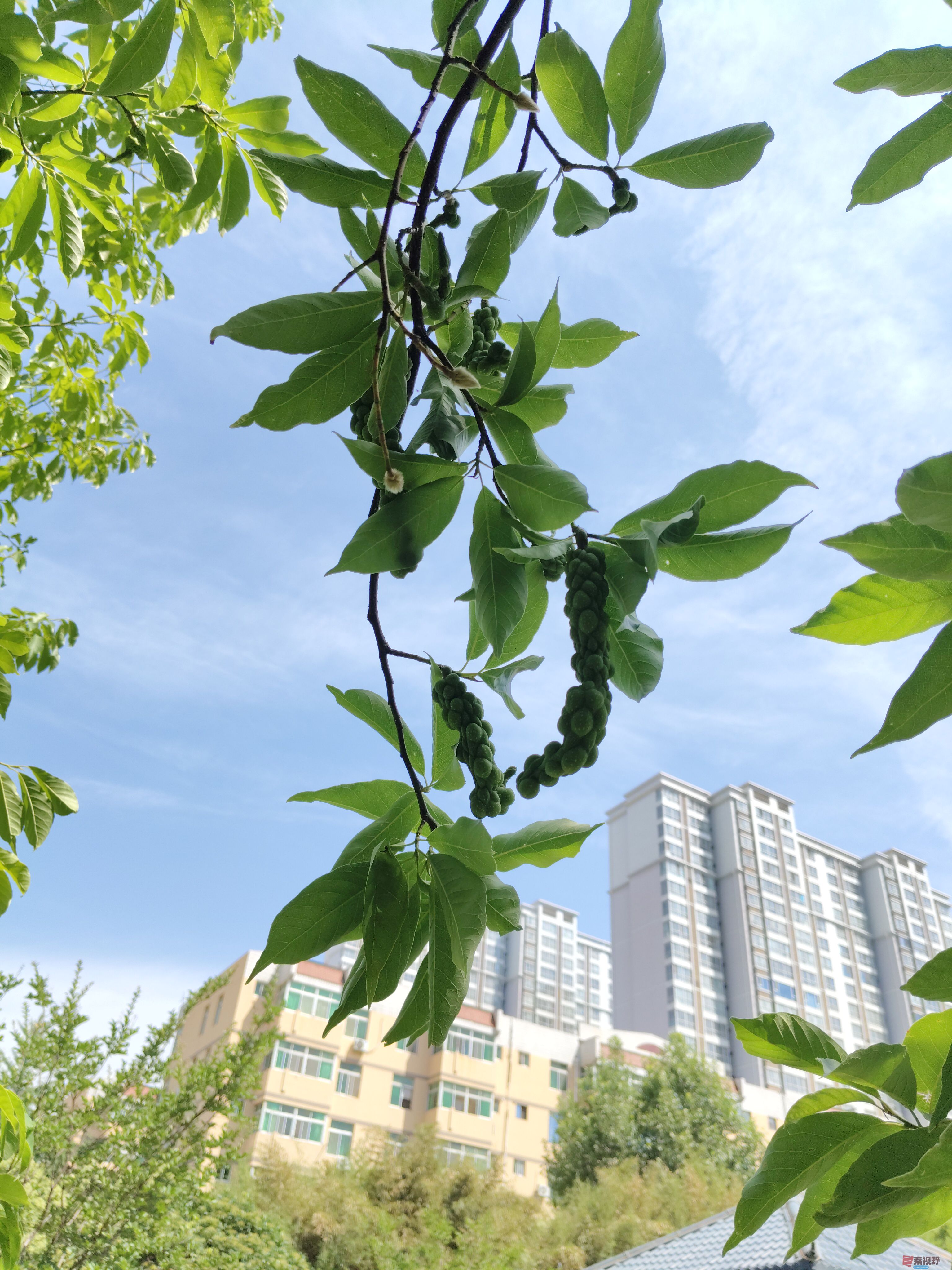 吕卫东_20250609111547 (1).jpg