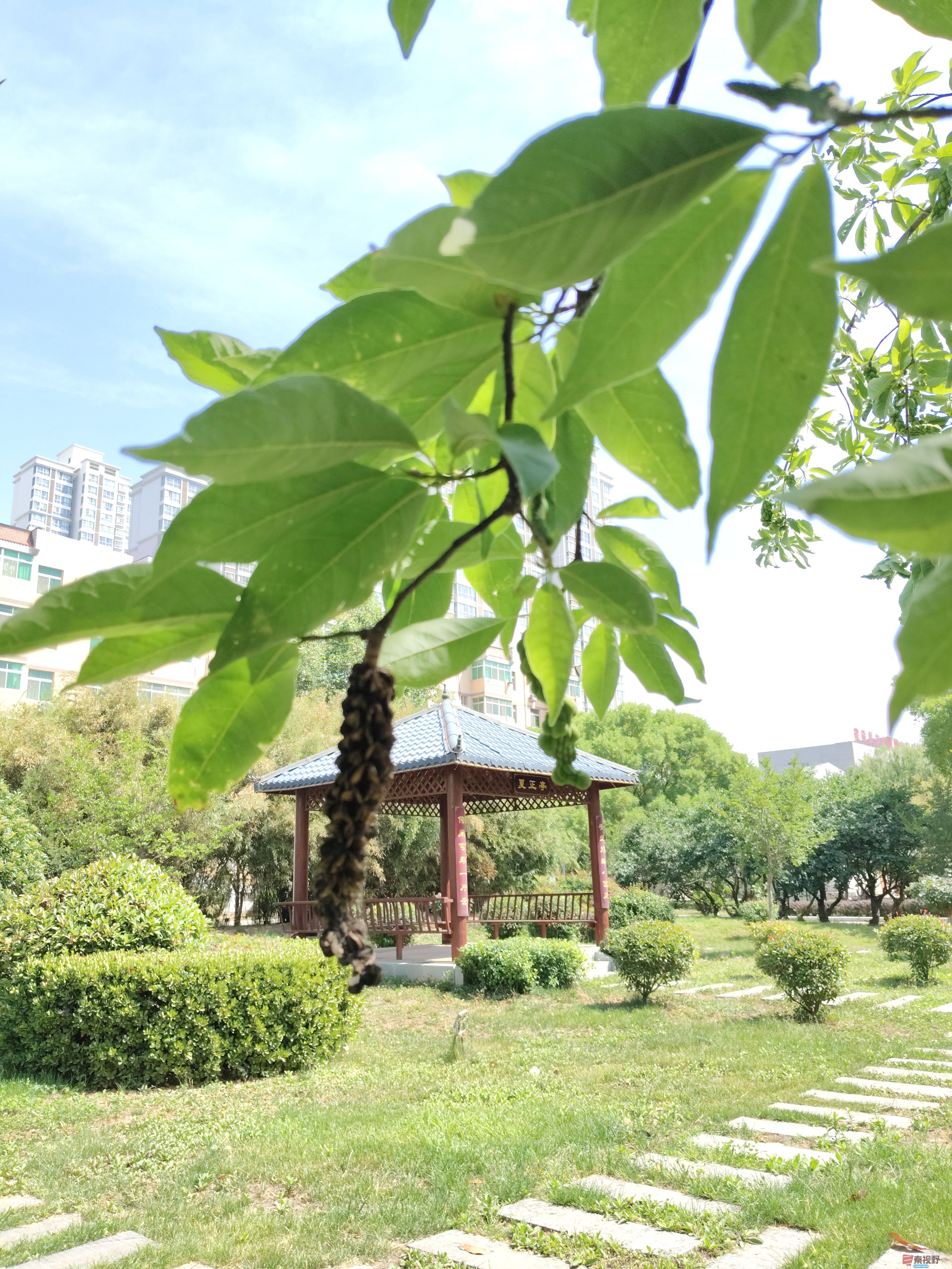 吕卫东_20250609111547 (2).jpg