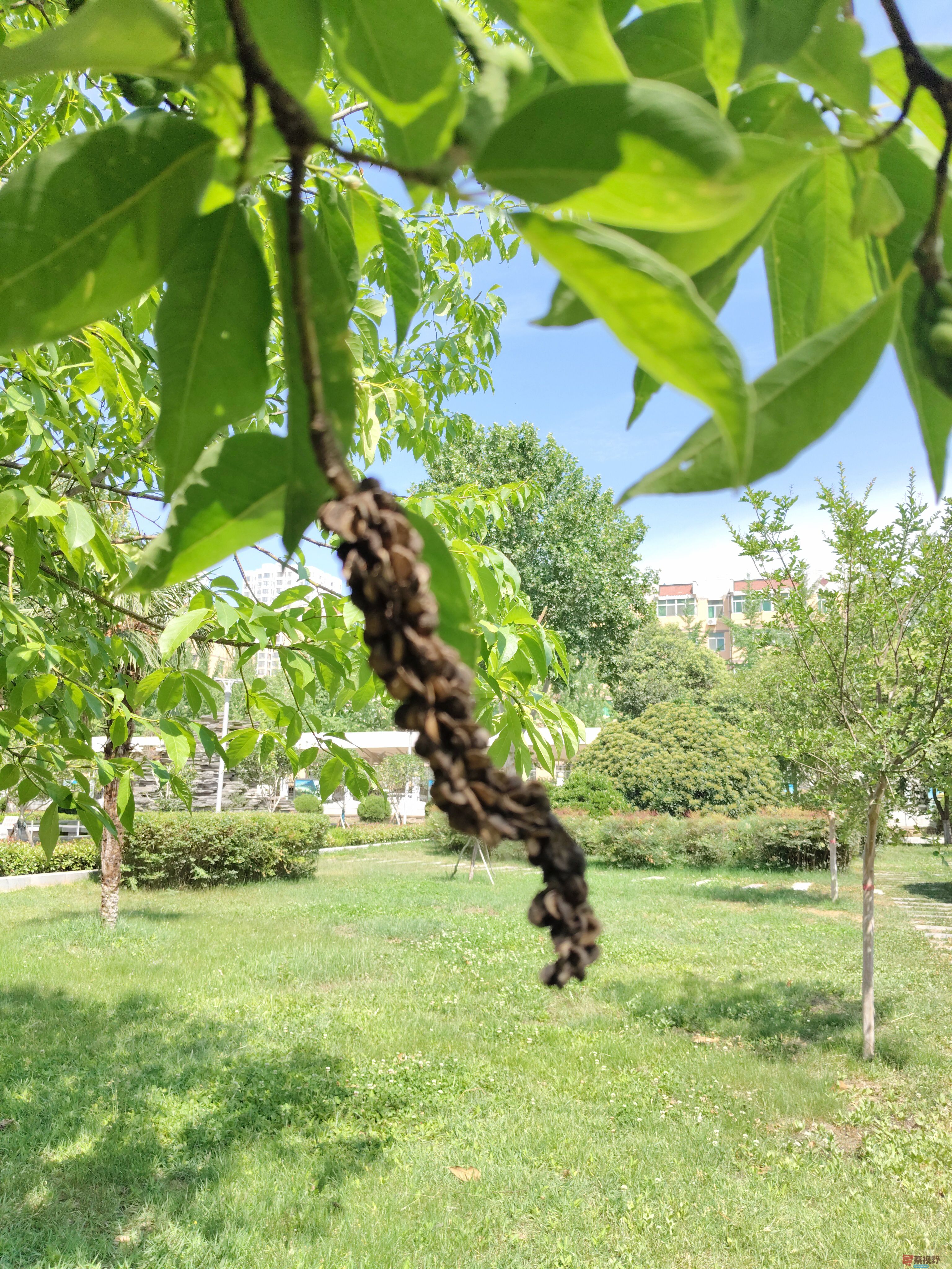 吕卫东_20250609111547 (3).jpg