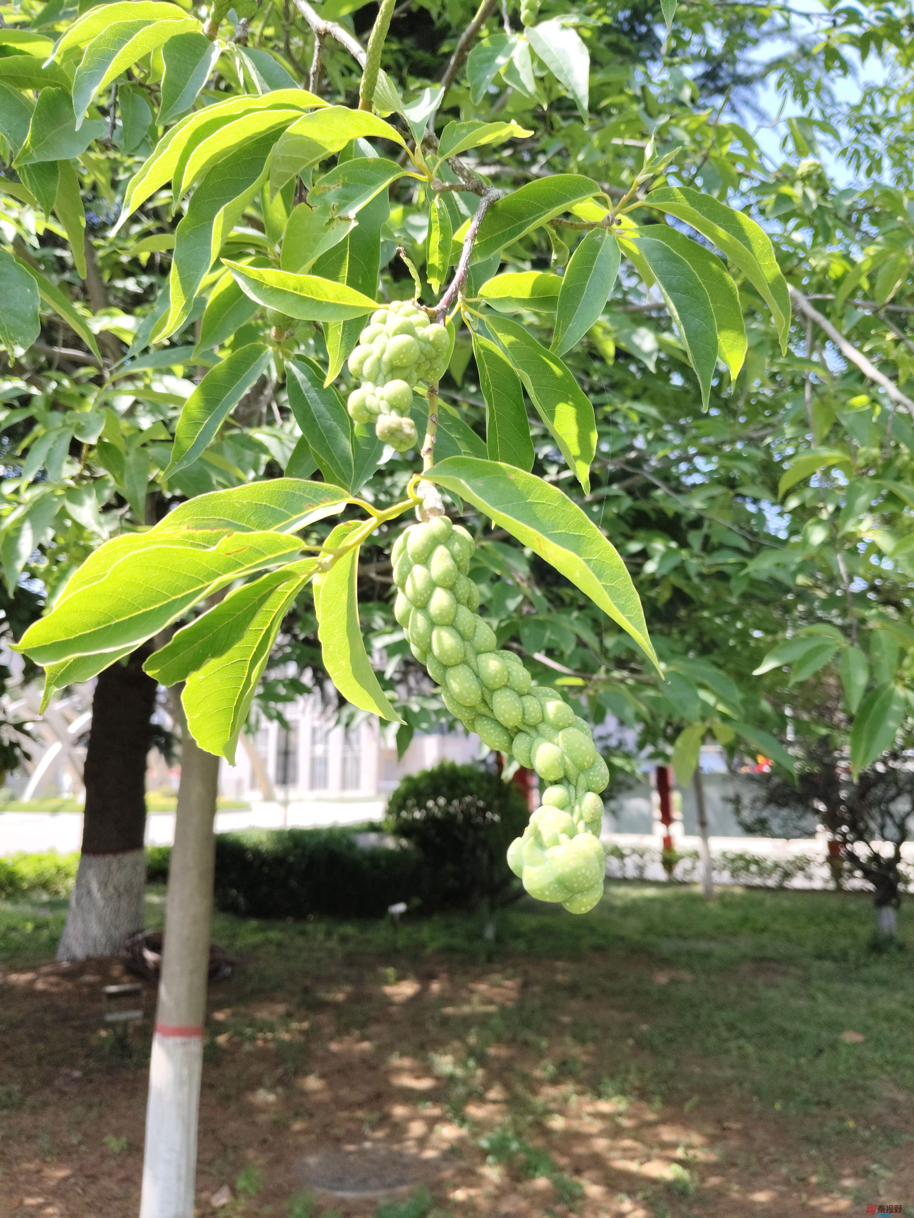 吕卫东_20250609111547 (6).jpg
