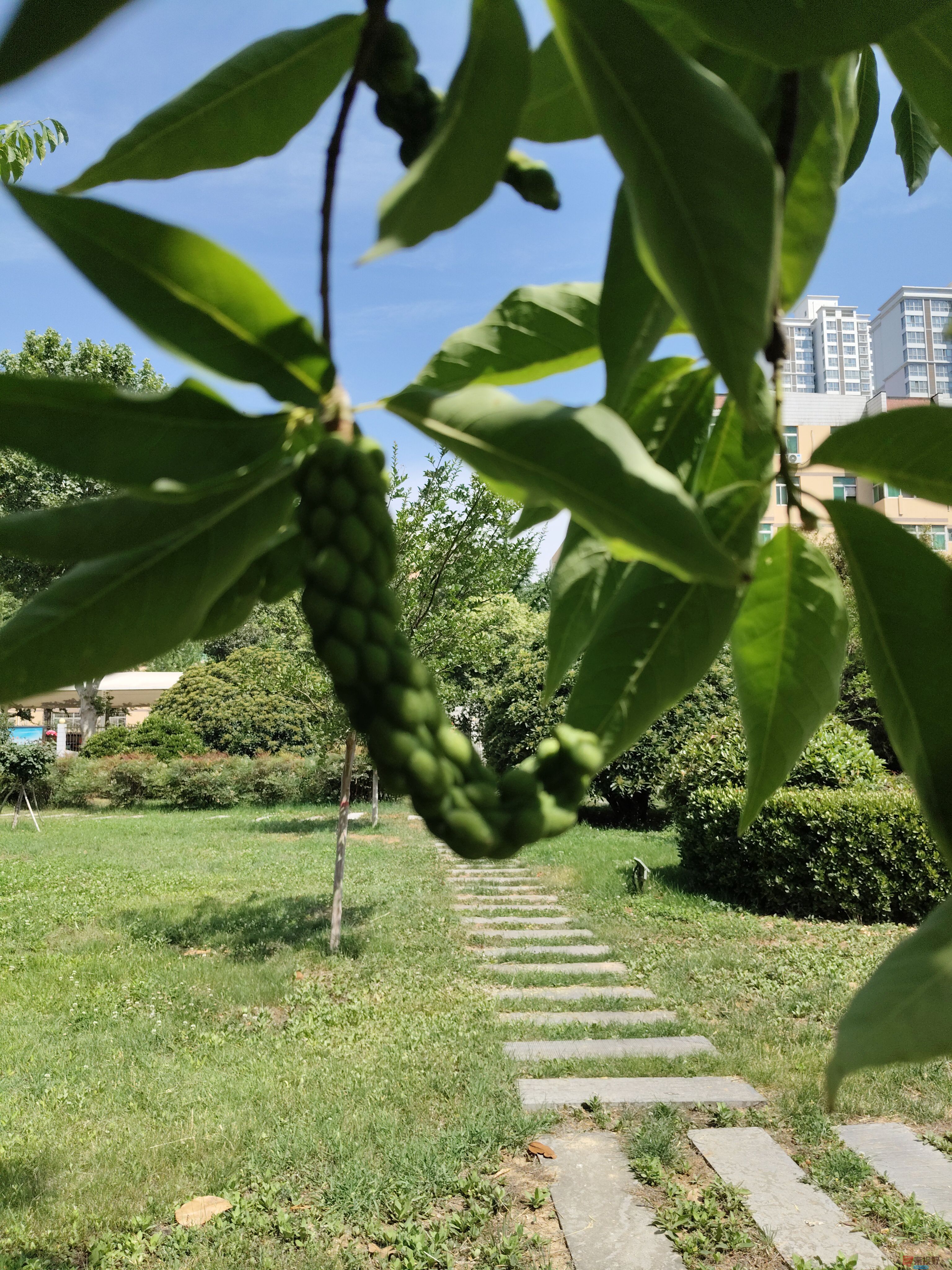 吕卫东_20250609111547 (8).jpg