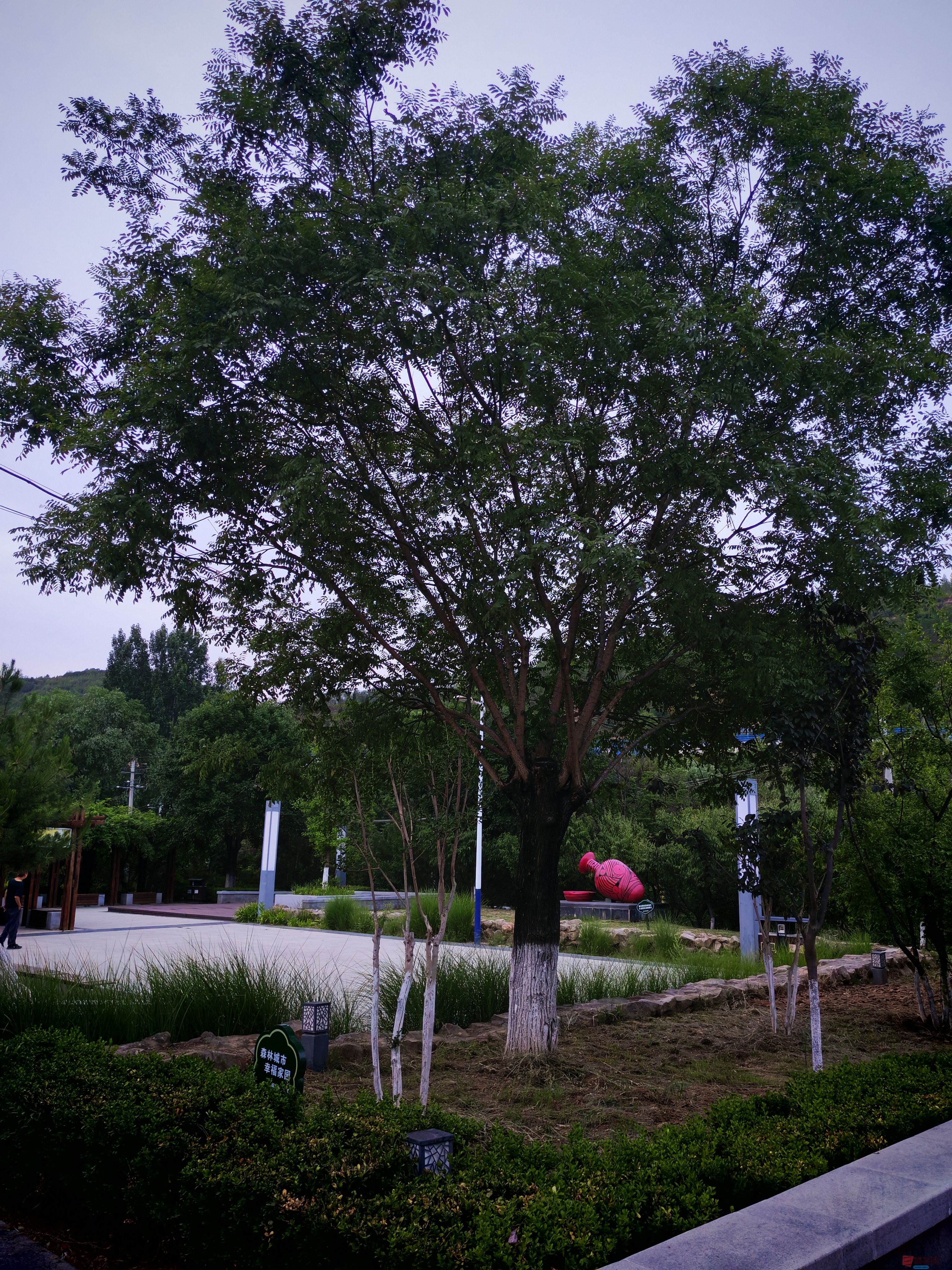 IMG_20250609_195415.jpg