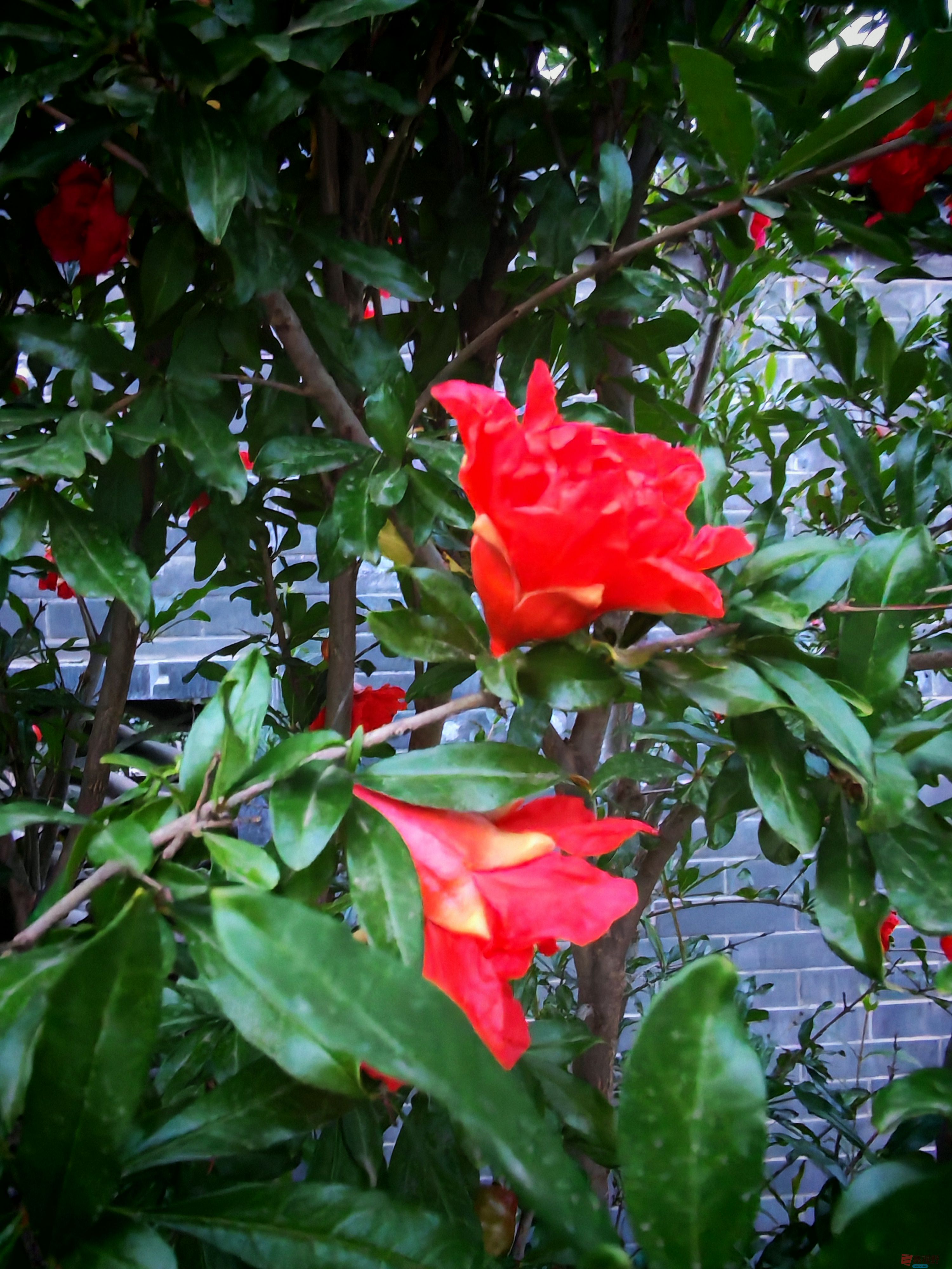 IMG_20250609_195626.jpg