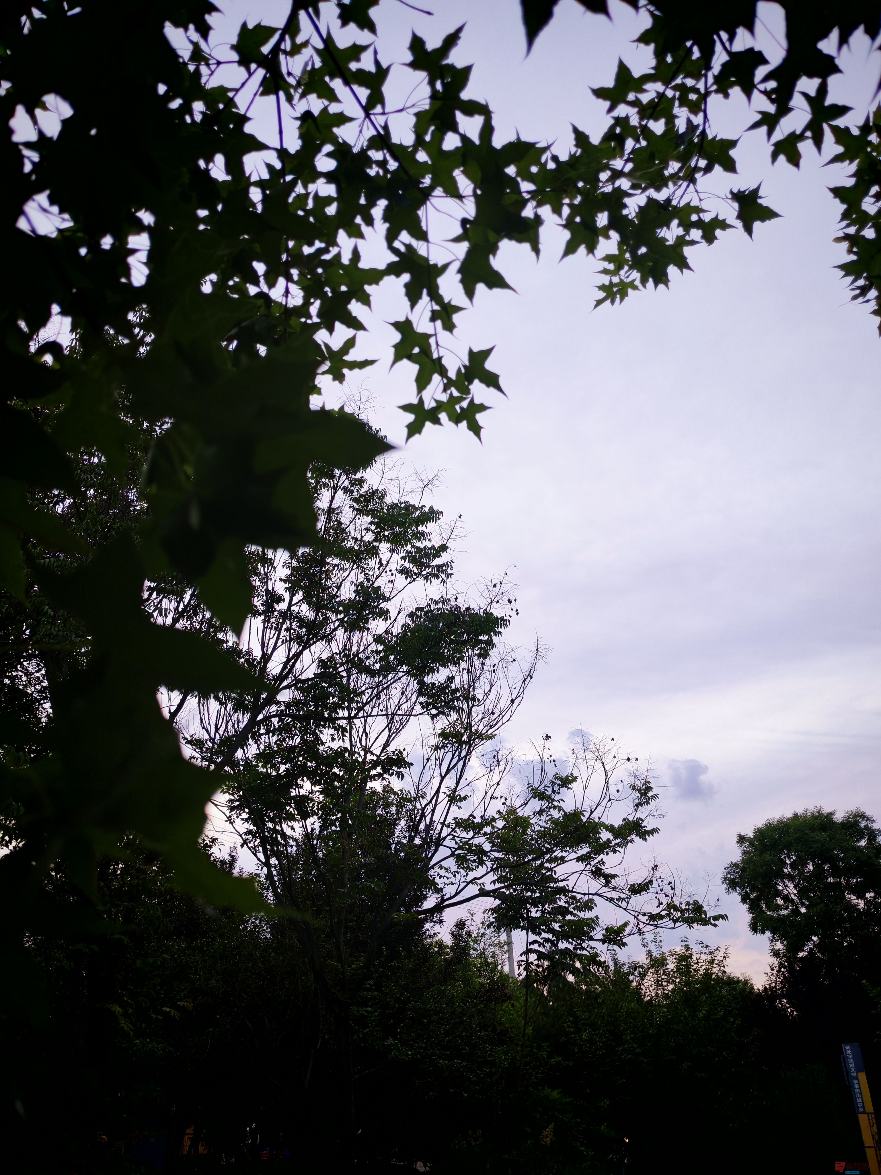 IMG_20250609_195854.jpg