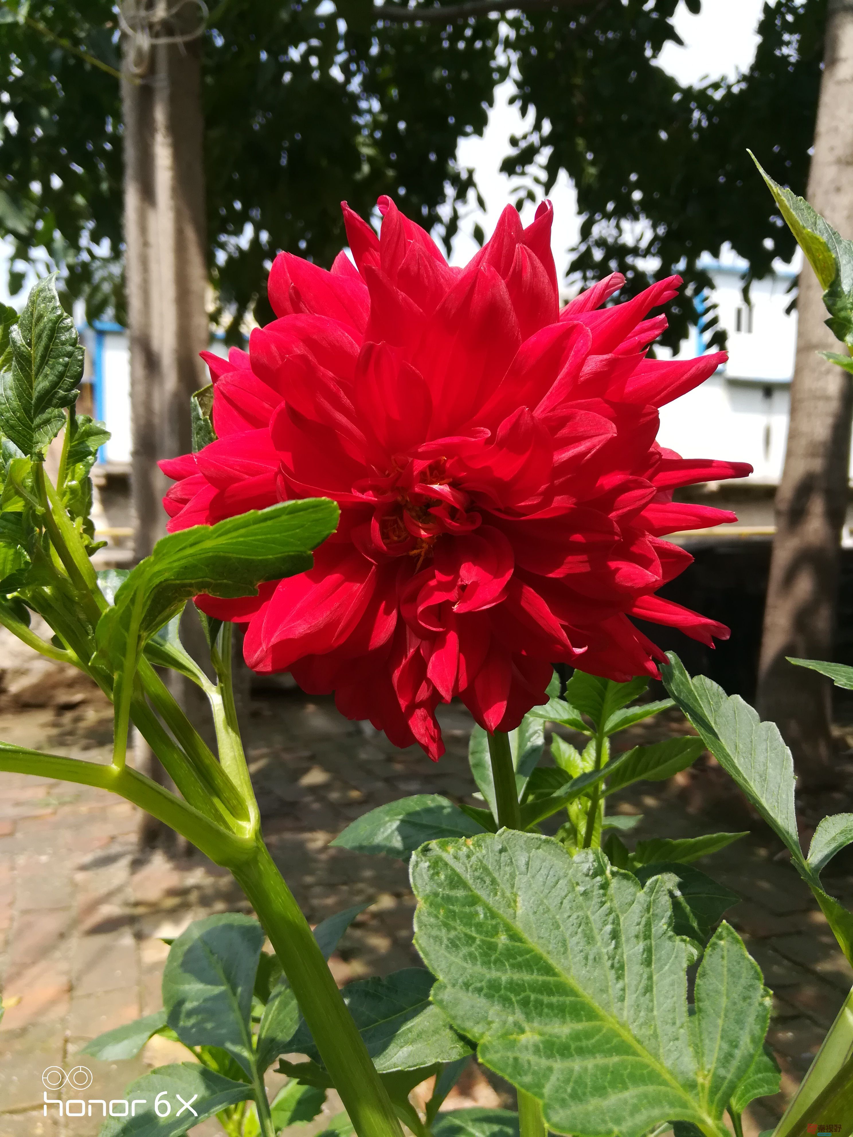 IMG_20190804_110924.jpg