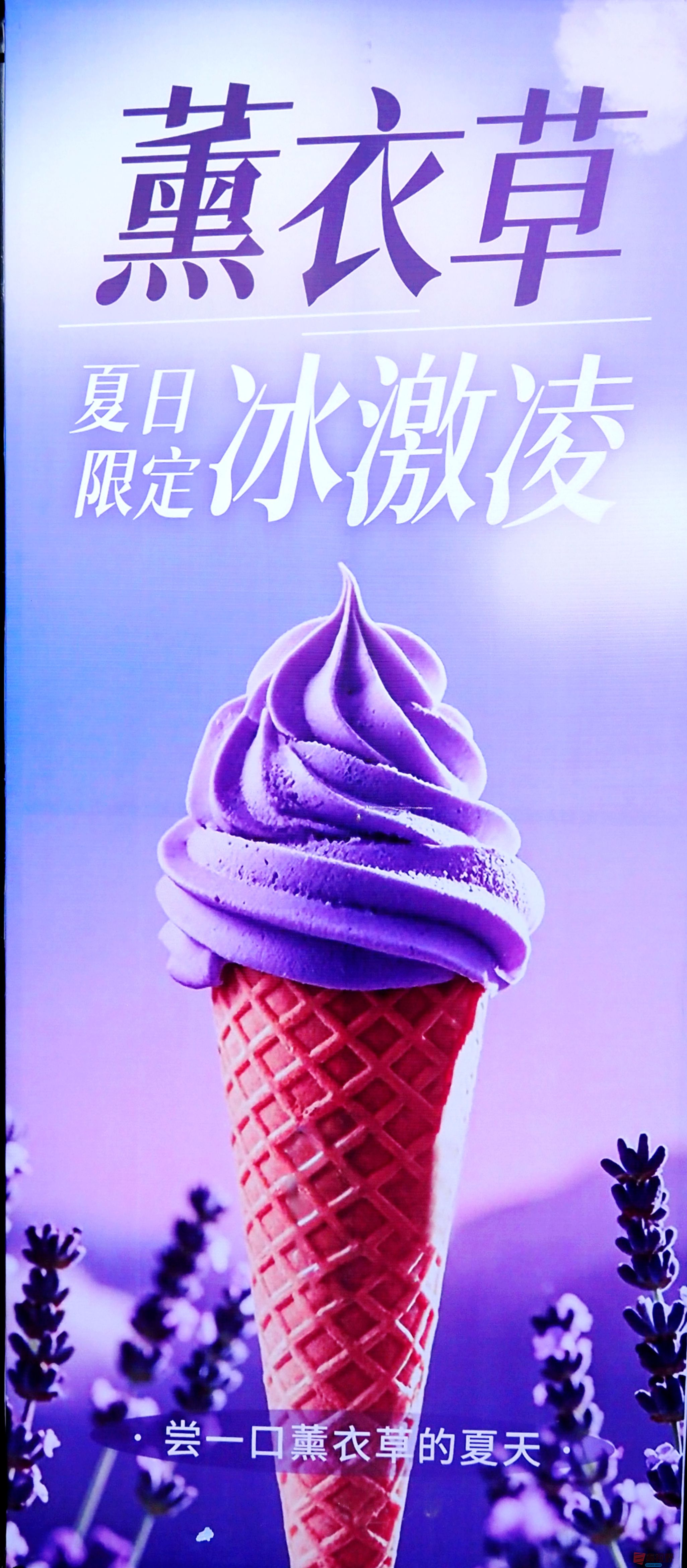黄风升_20250617151750 (15).jpg