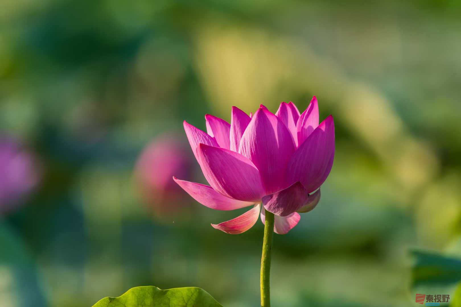 袁小保_20250616001819 (1).jpg