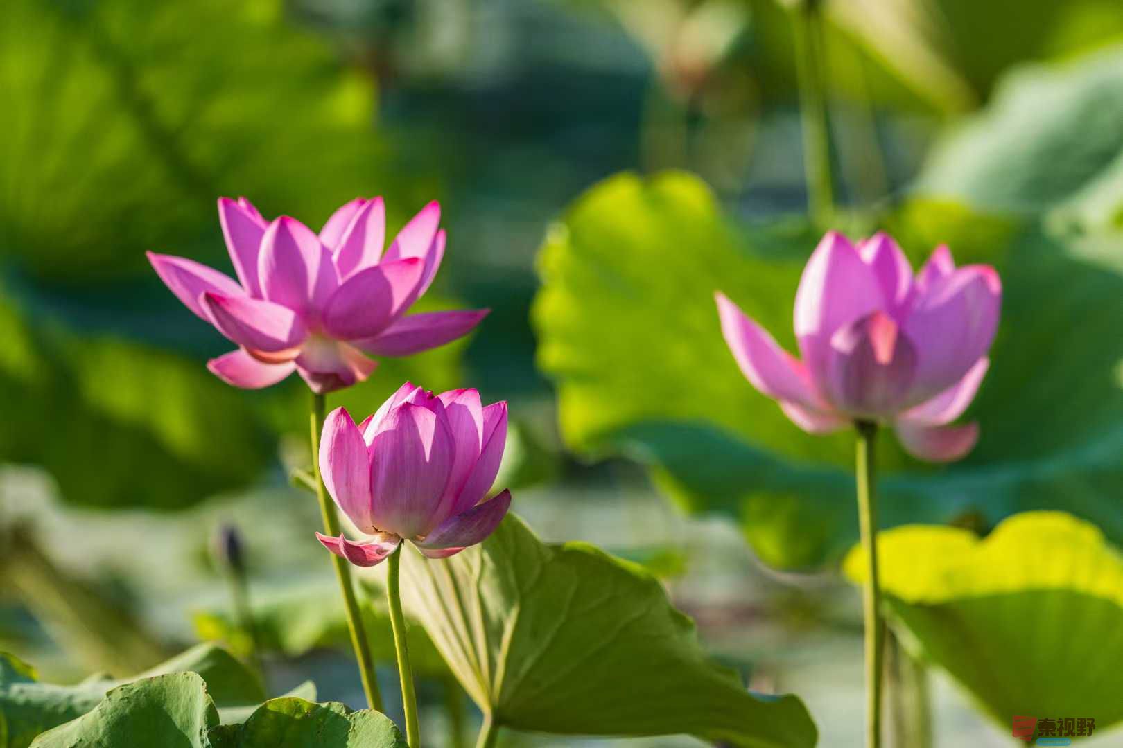 袁小保_20250616001819 (8).jpg