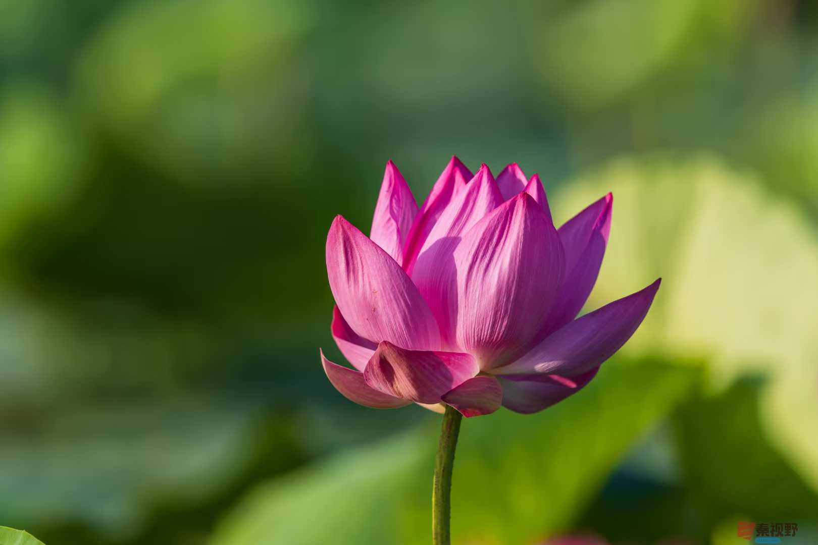 袁小保_20250616001819 (14).jpg