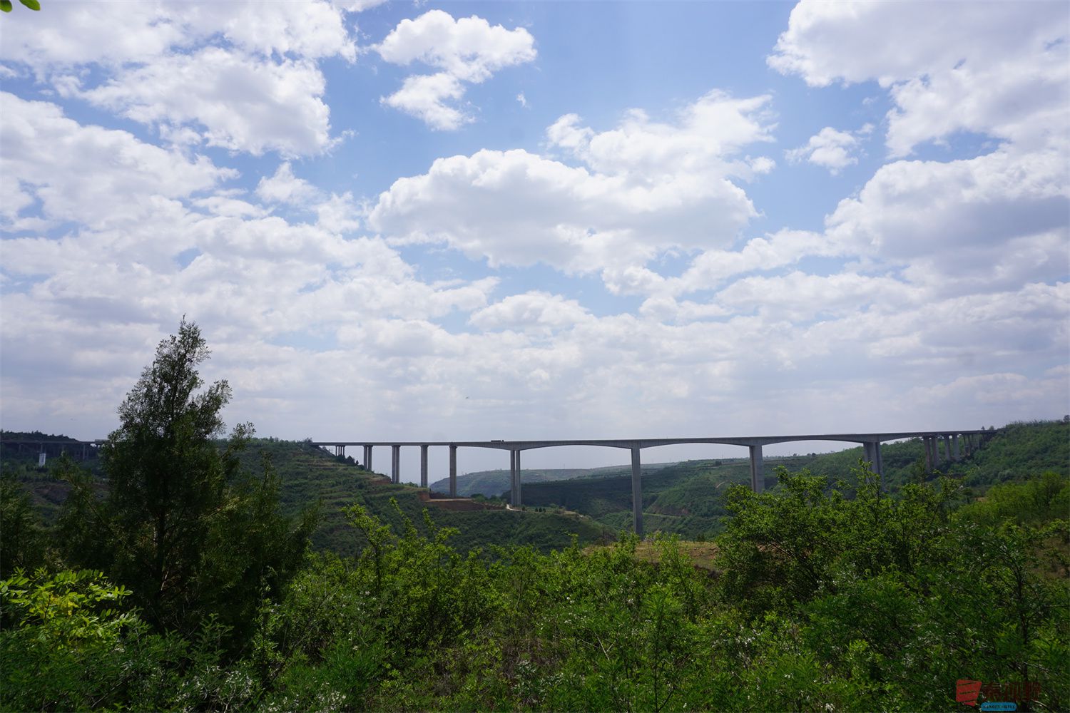 孙宏伟_20250618201055 (16).jpg