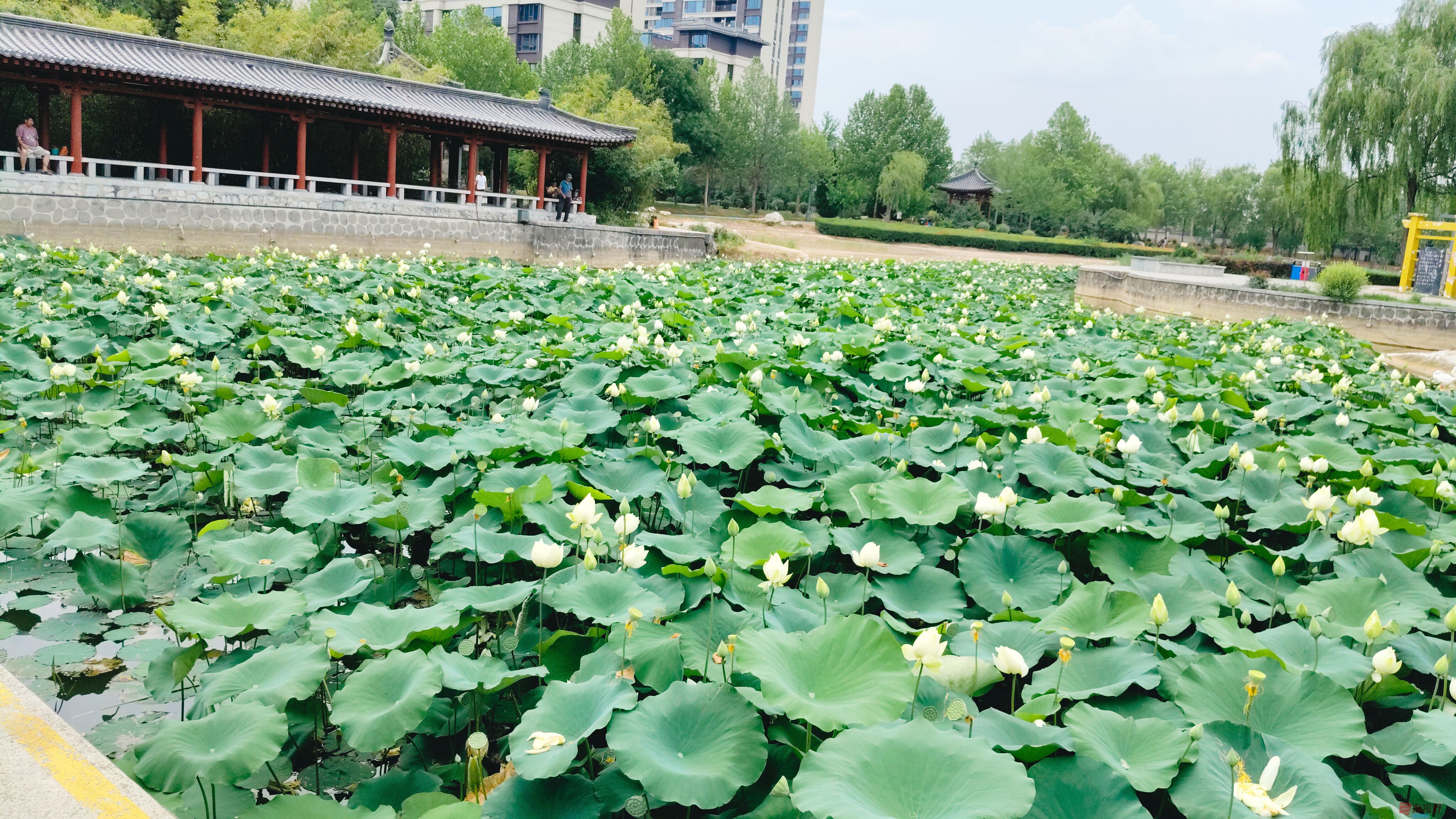 微信图片_20250622175940.jpg