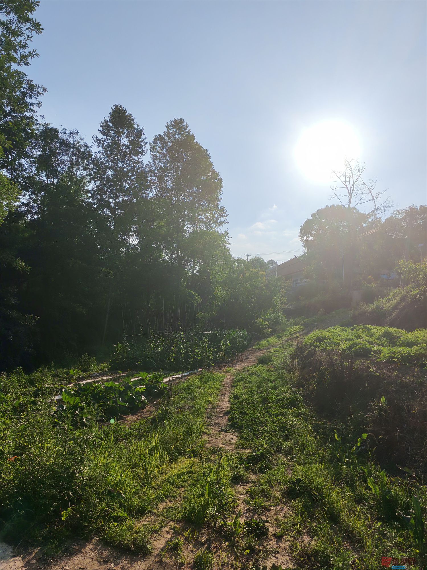 压缩IMG_20250623_175221 (9).jpg