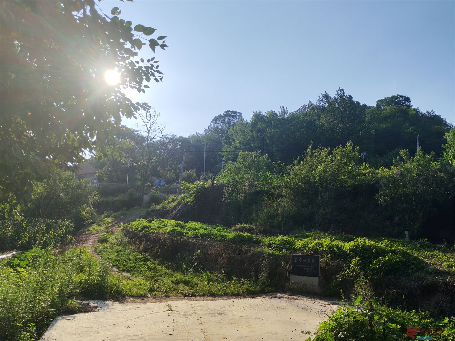 铜川常家河，一个夏天纳凉避暑的好地方（2）【摄影周春辉】