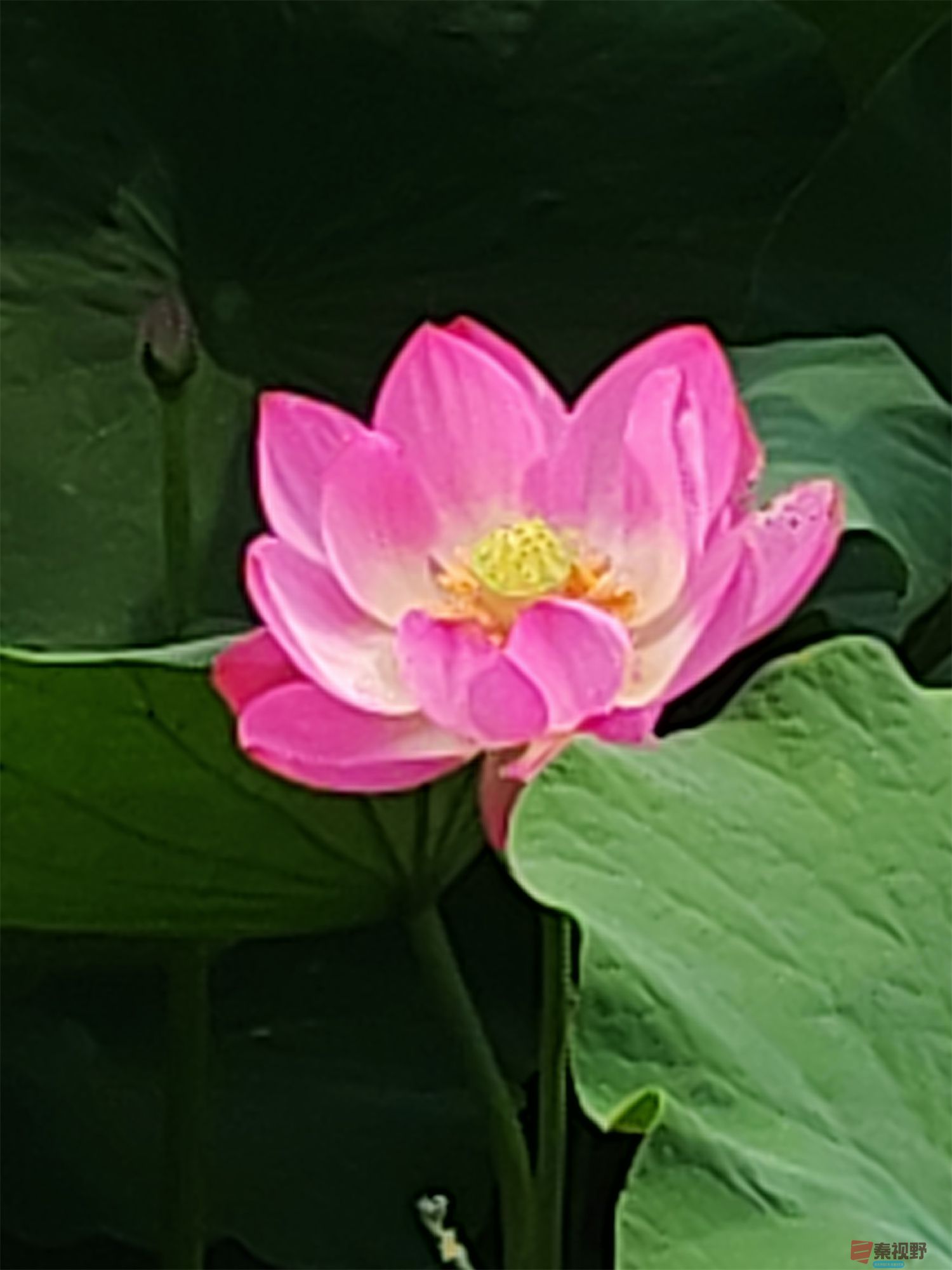 压缩IMG_20250623_175221 (62).jpg