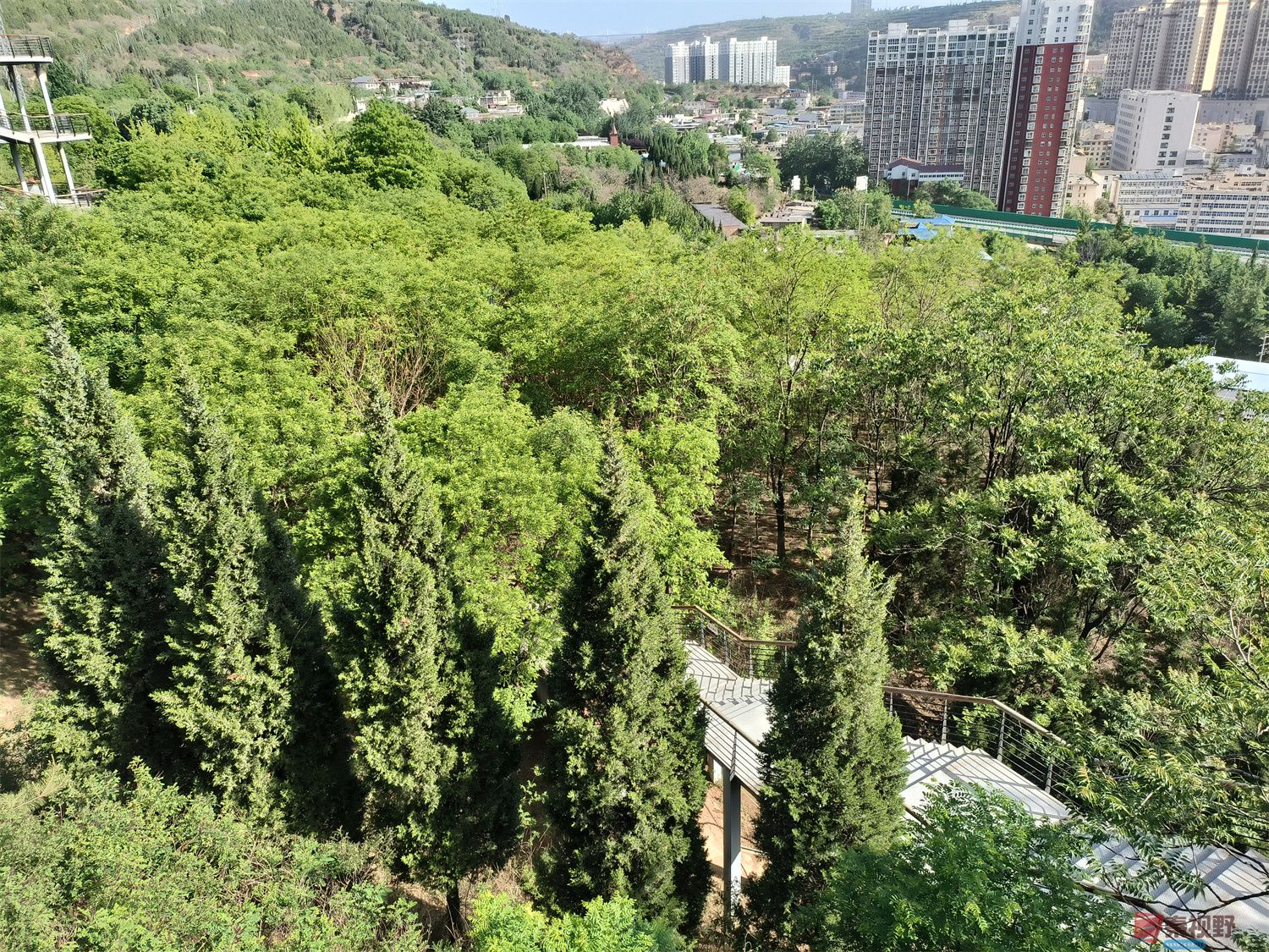 李彬压缩_20250625150412 (7).jpg