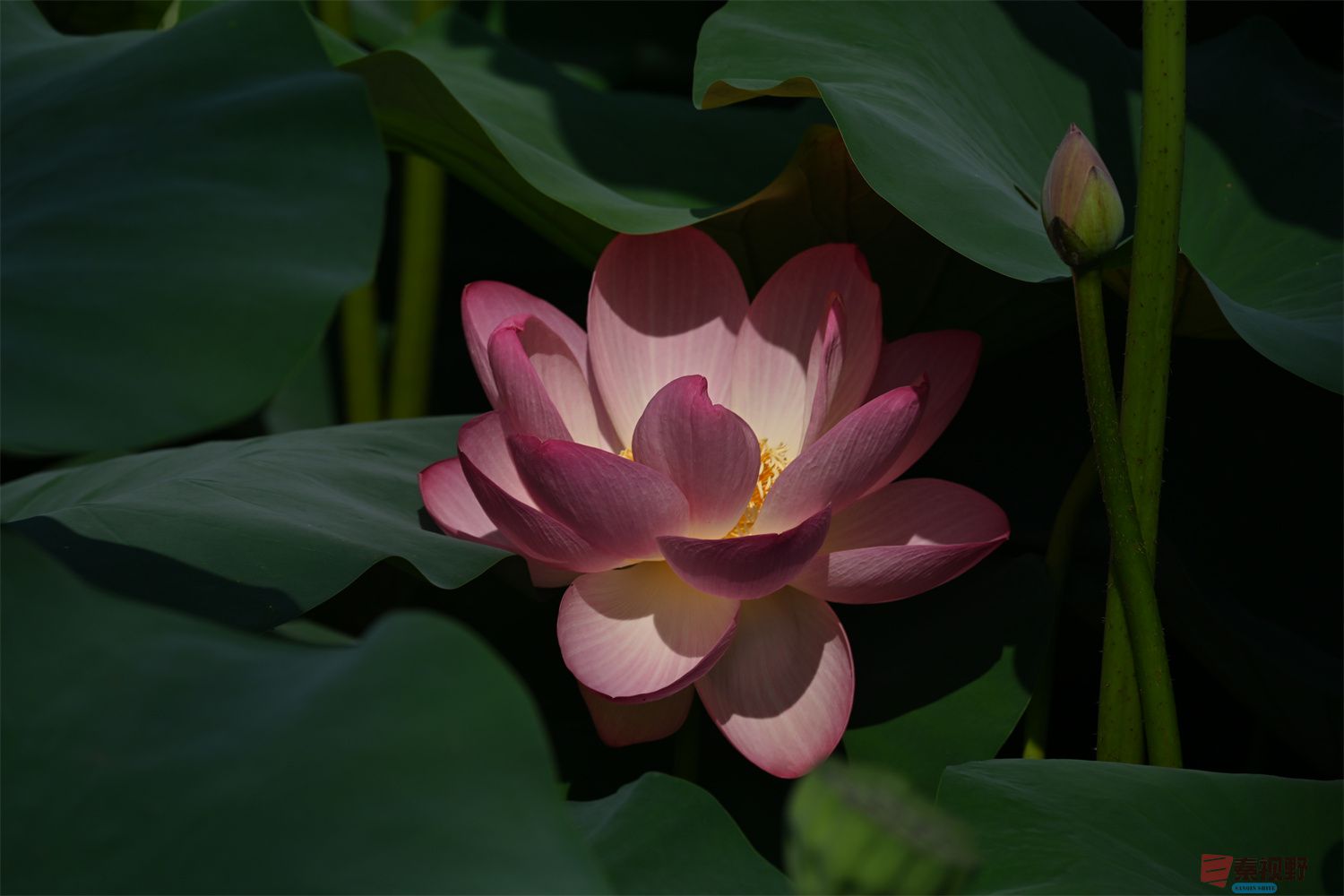 罗文海压缩_20250627103724 (19).jpg