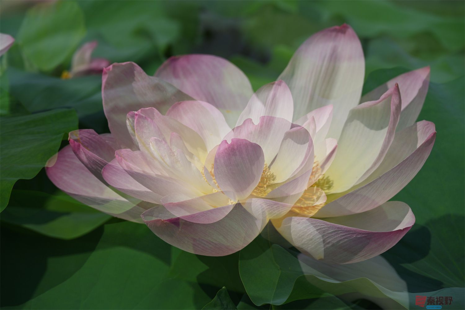 罗文海压缩_20250627103724 (29).jpg