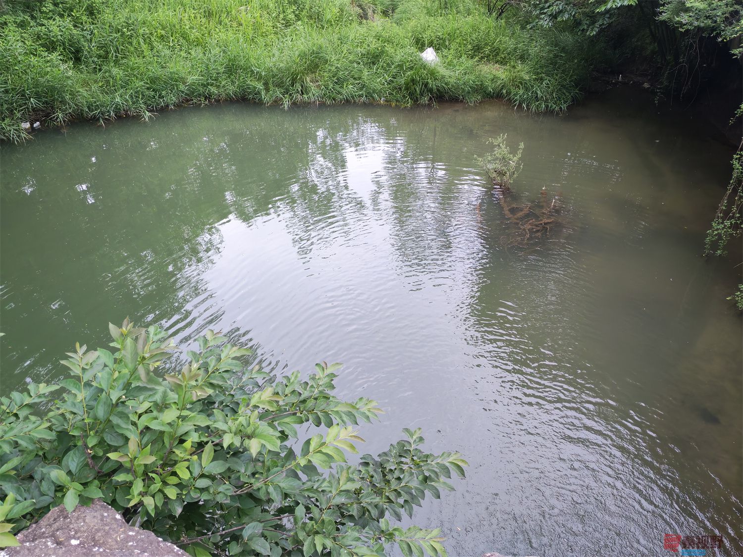 铜川耀州区石柱镇郑家河的风景（1）拍【手机随拍周春辉】