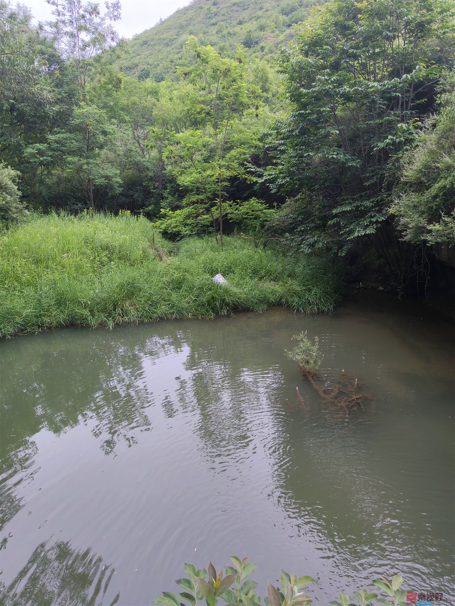 IMG_20250625_182226压缩 (21).jpg