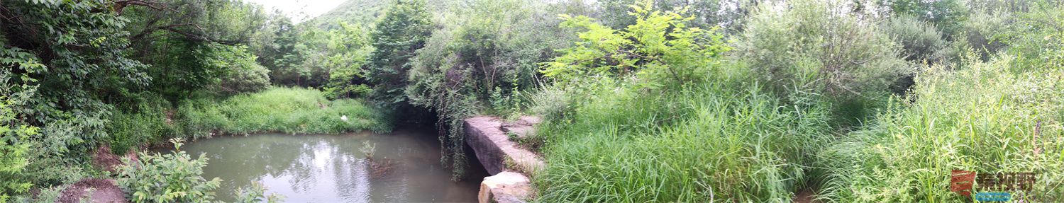 IMG_20250625_182226压缩 (29).jpg