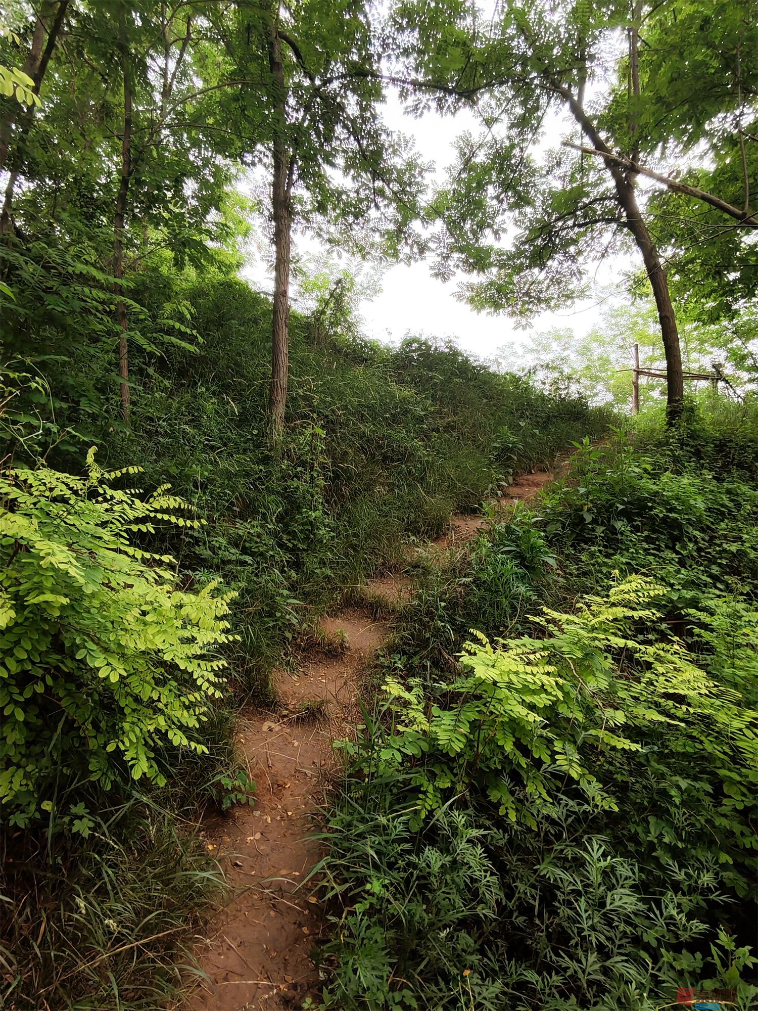 铜川耀州区石柱镇郑家河的风景（4）拍【手机随拍周春辉】