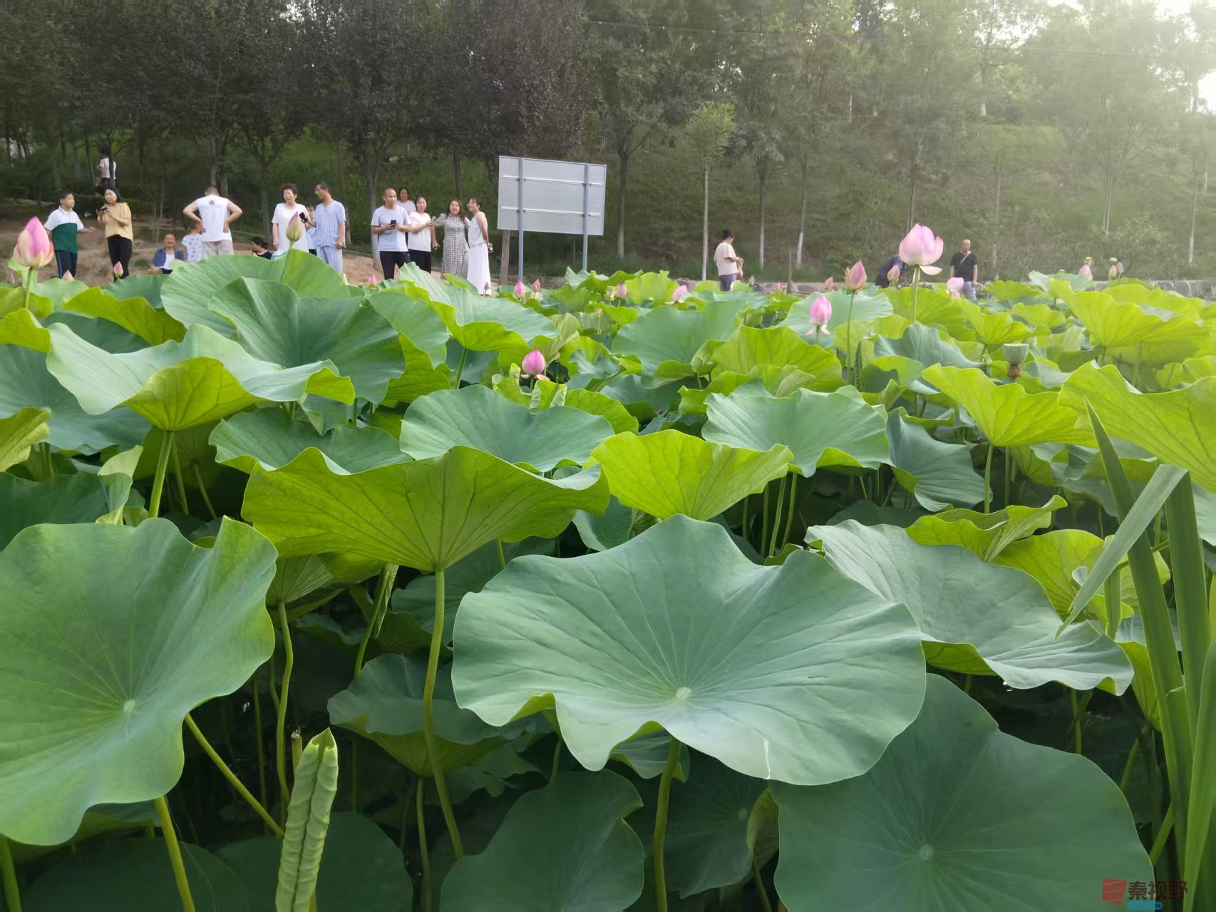 王有贵_20250708132503 (7).jpg