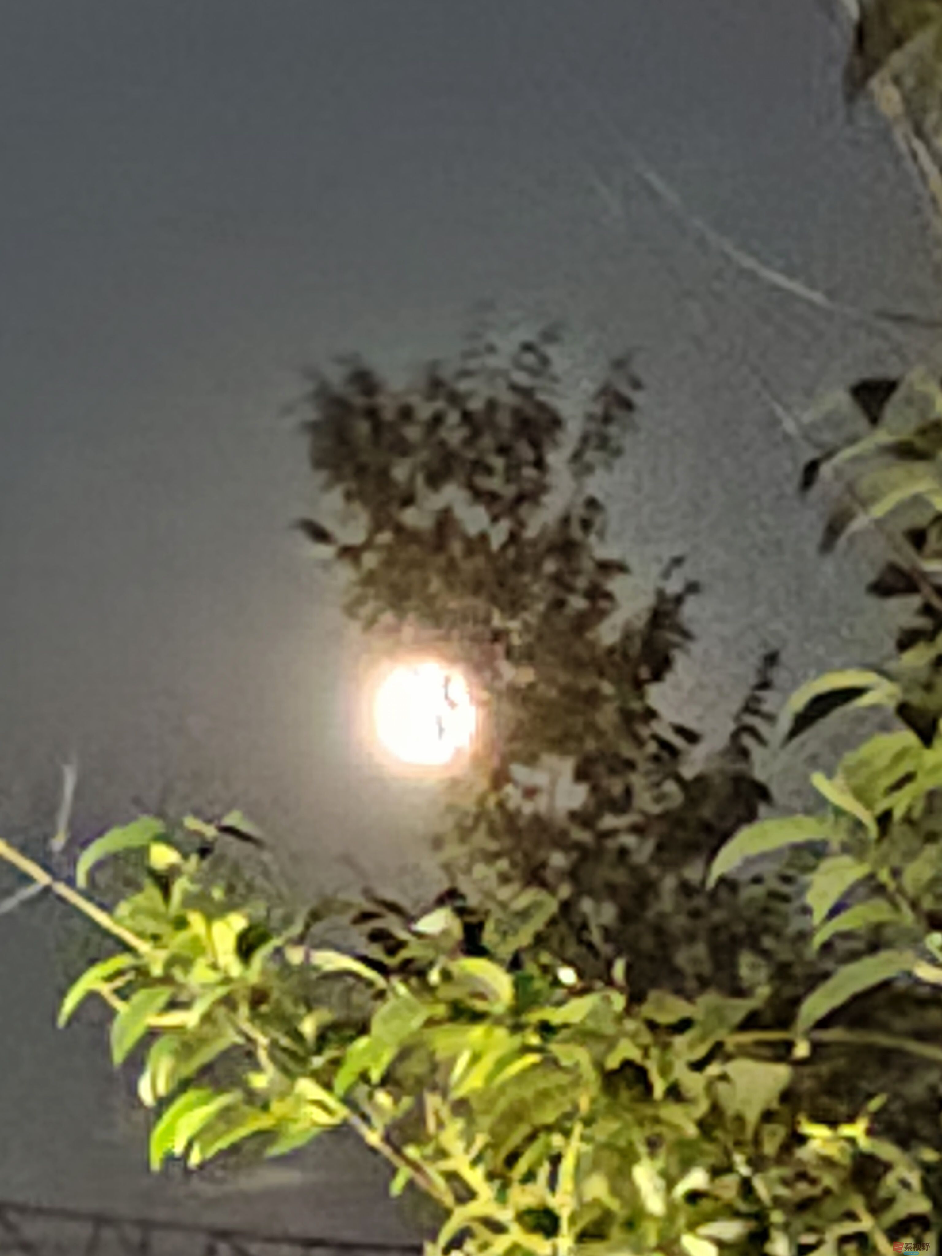 微信图片_20250711101022.jpg