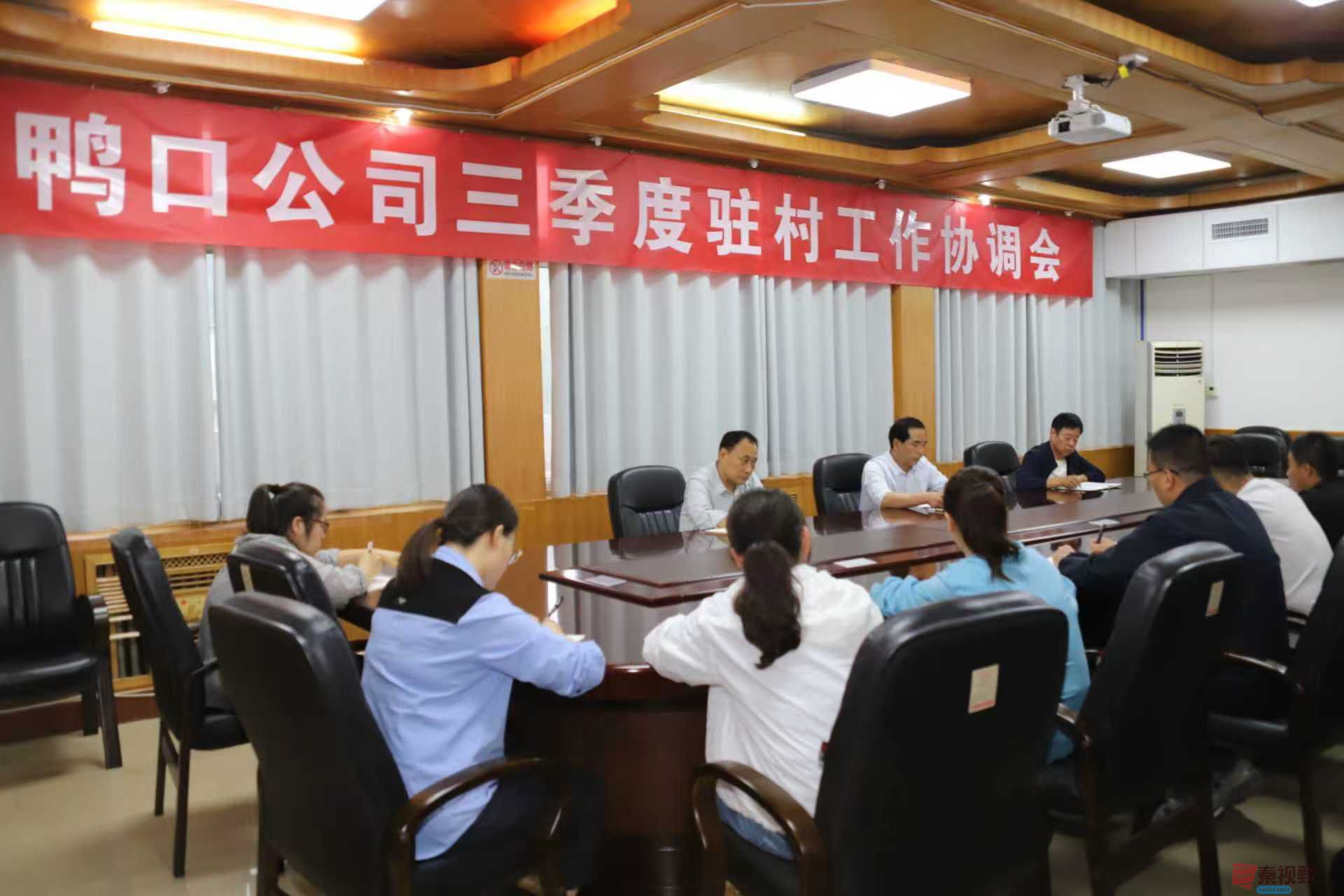 陕西铜川鸭口公司：统筹协调驻村工作 谱写乡村振兴篇章