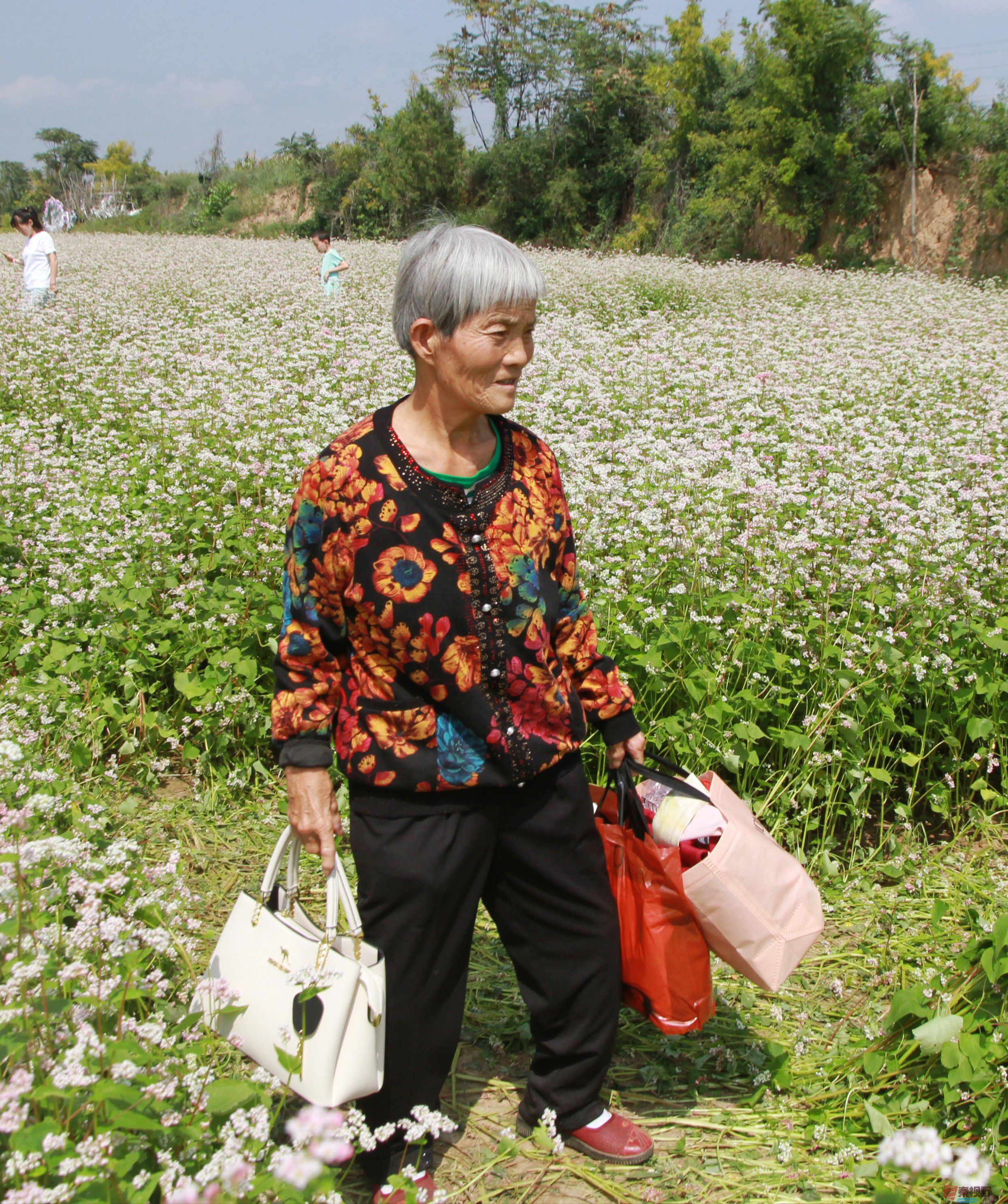 卸凤_20250916222609_1221_104 (2).jpg