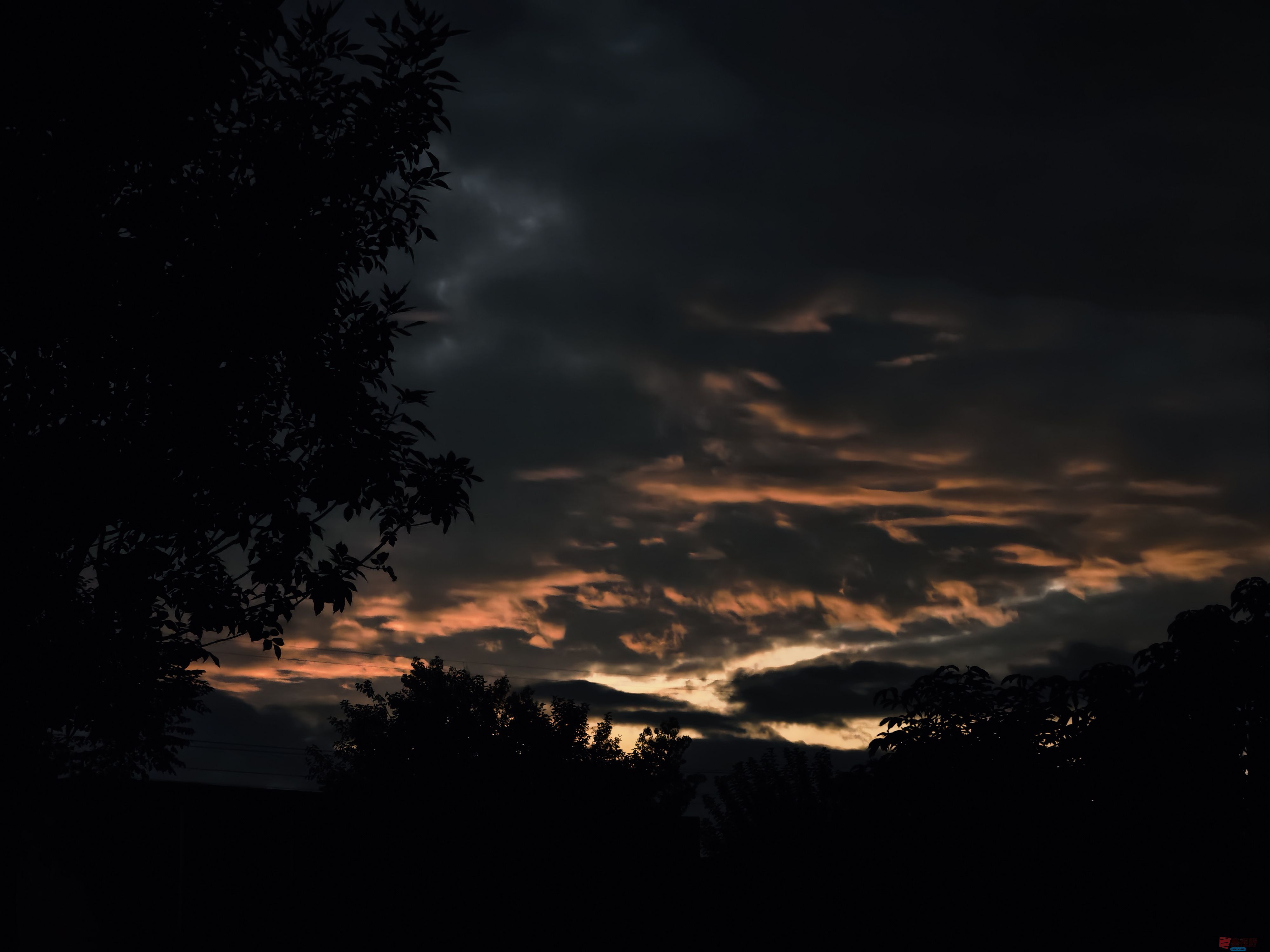 张宝光_20250916185125_1161_104 (4).jpg