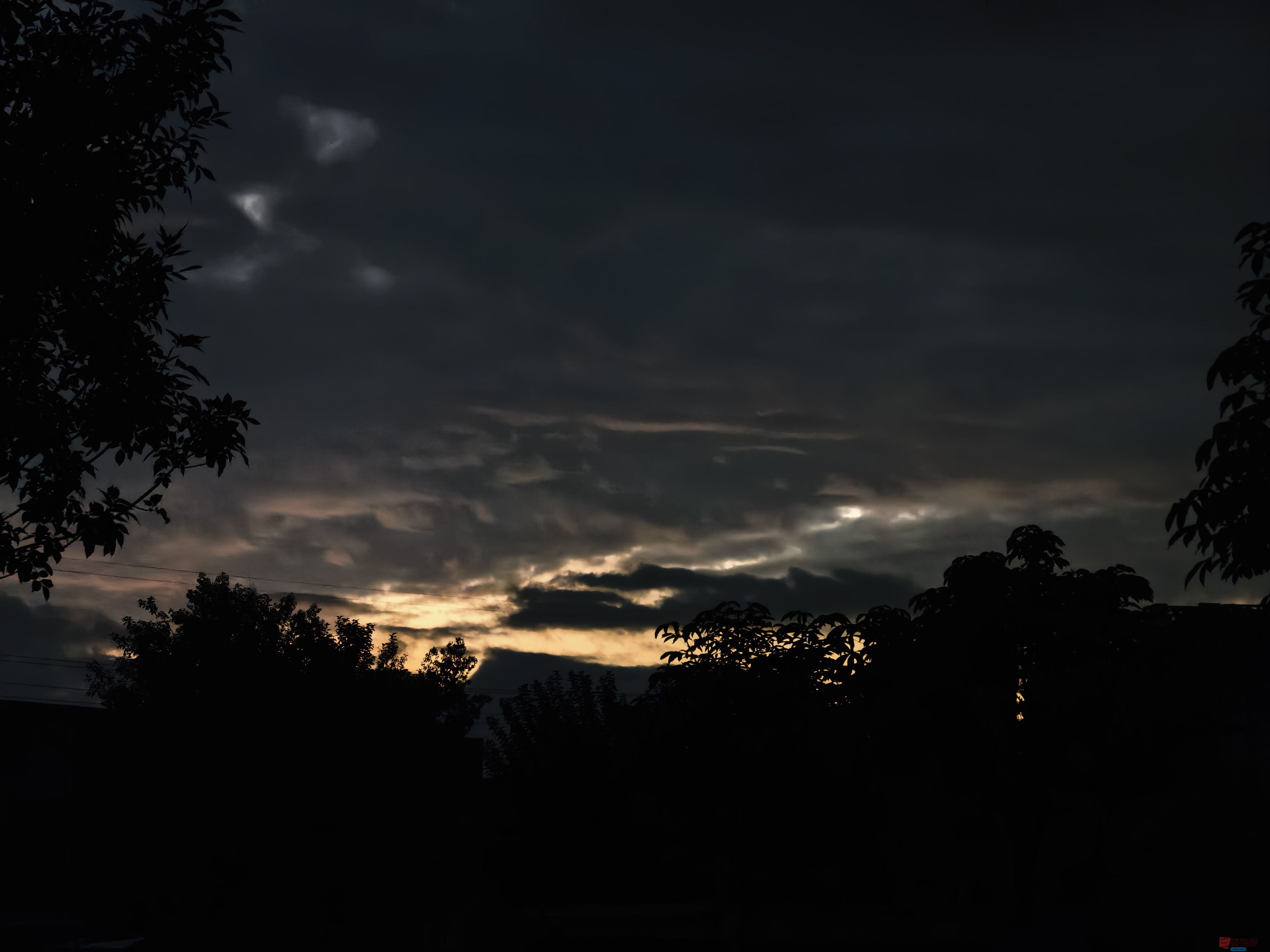 张宝光_20250916185125_1161_104 (1).jpg