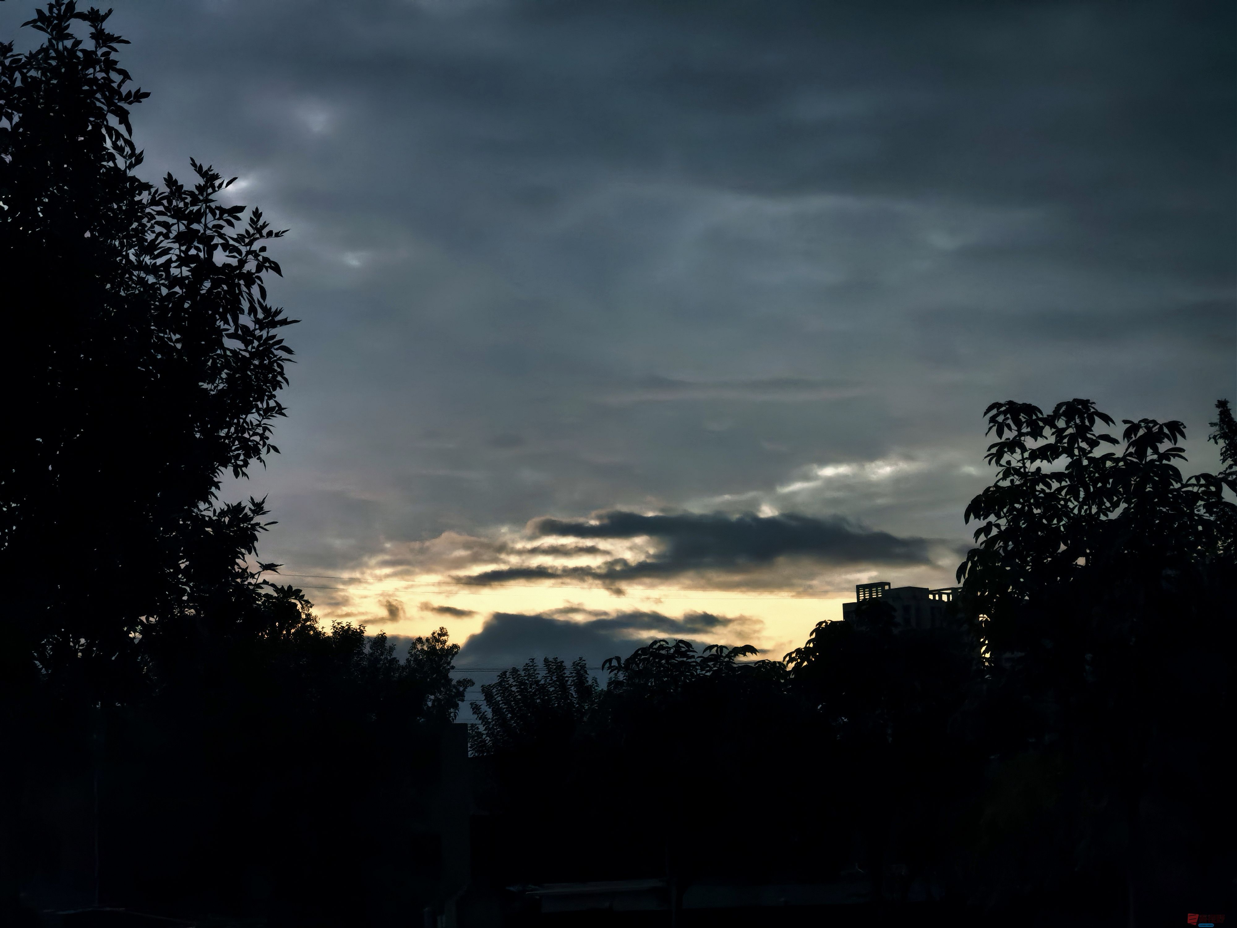 张宝光_20250916185125_1161_104 (3).jpg