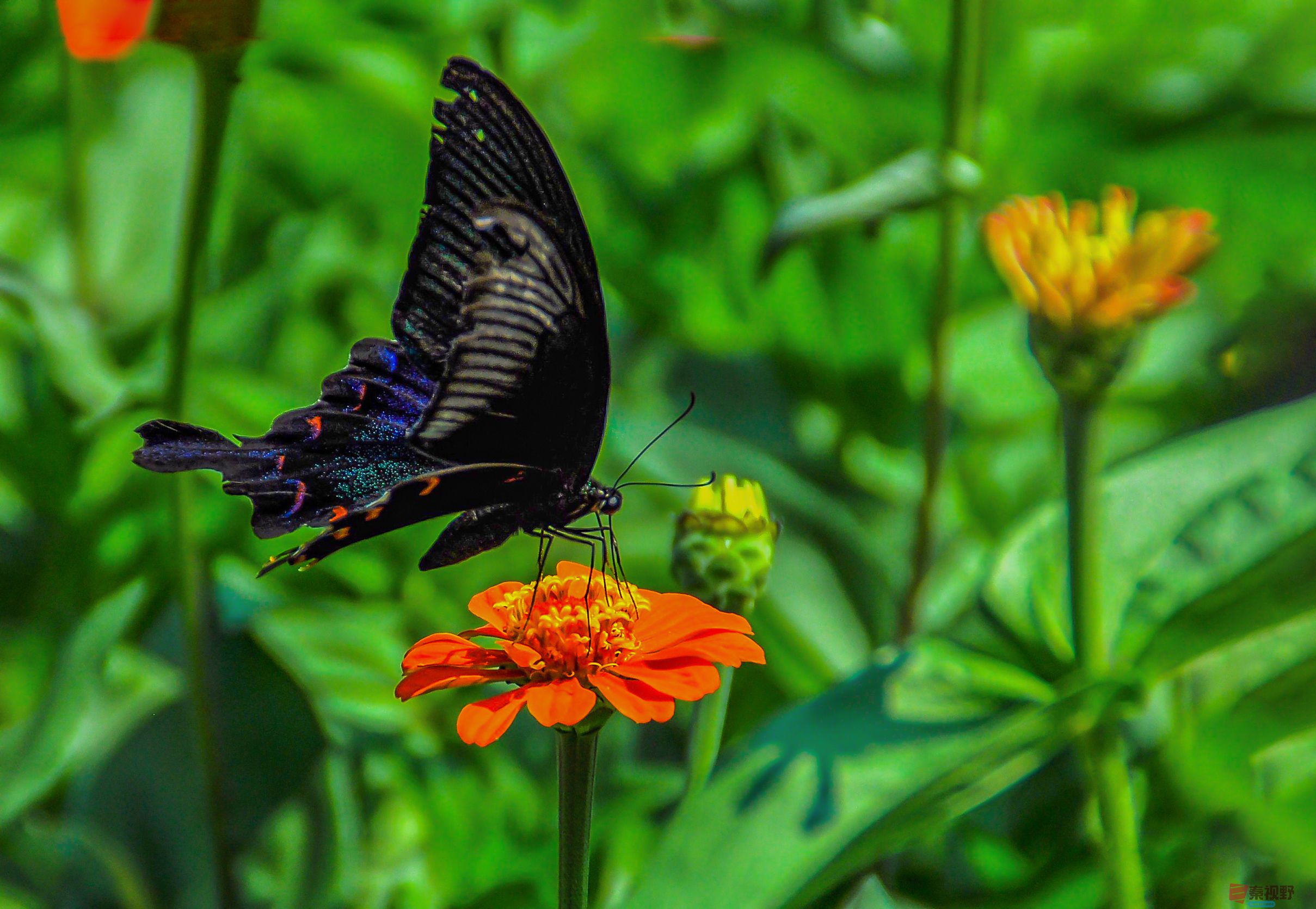 肖宝清_20250917090406_1145_463 (2).jpg