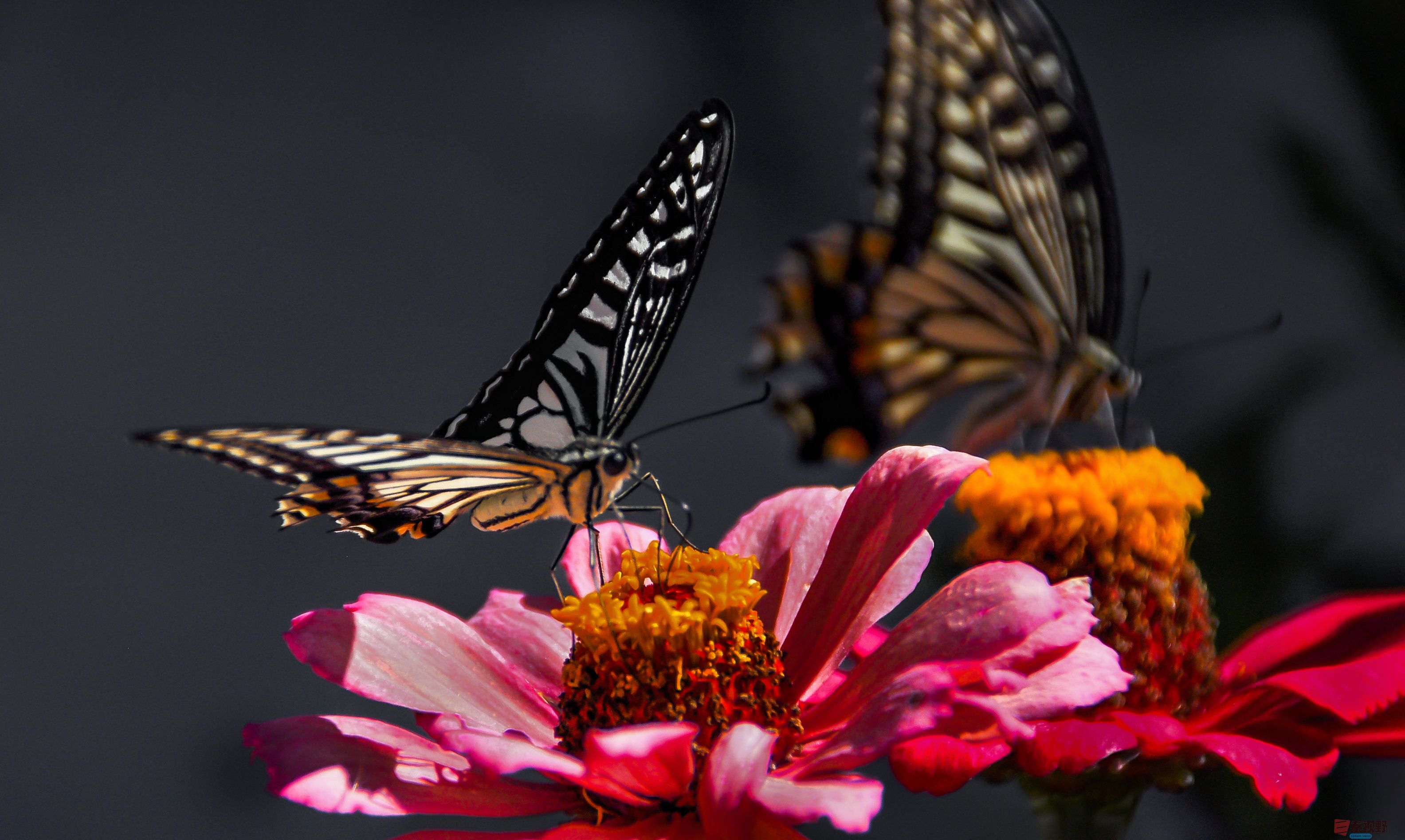 肖宝清_20250917090406_1145_463 (3).jpg