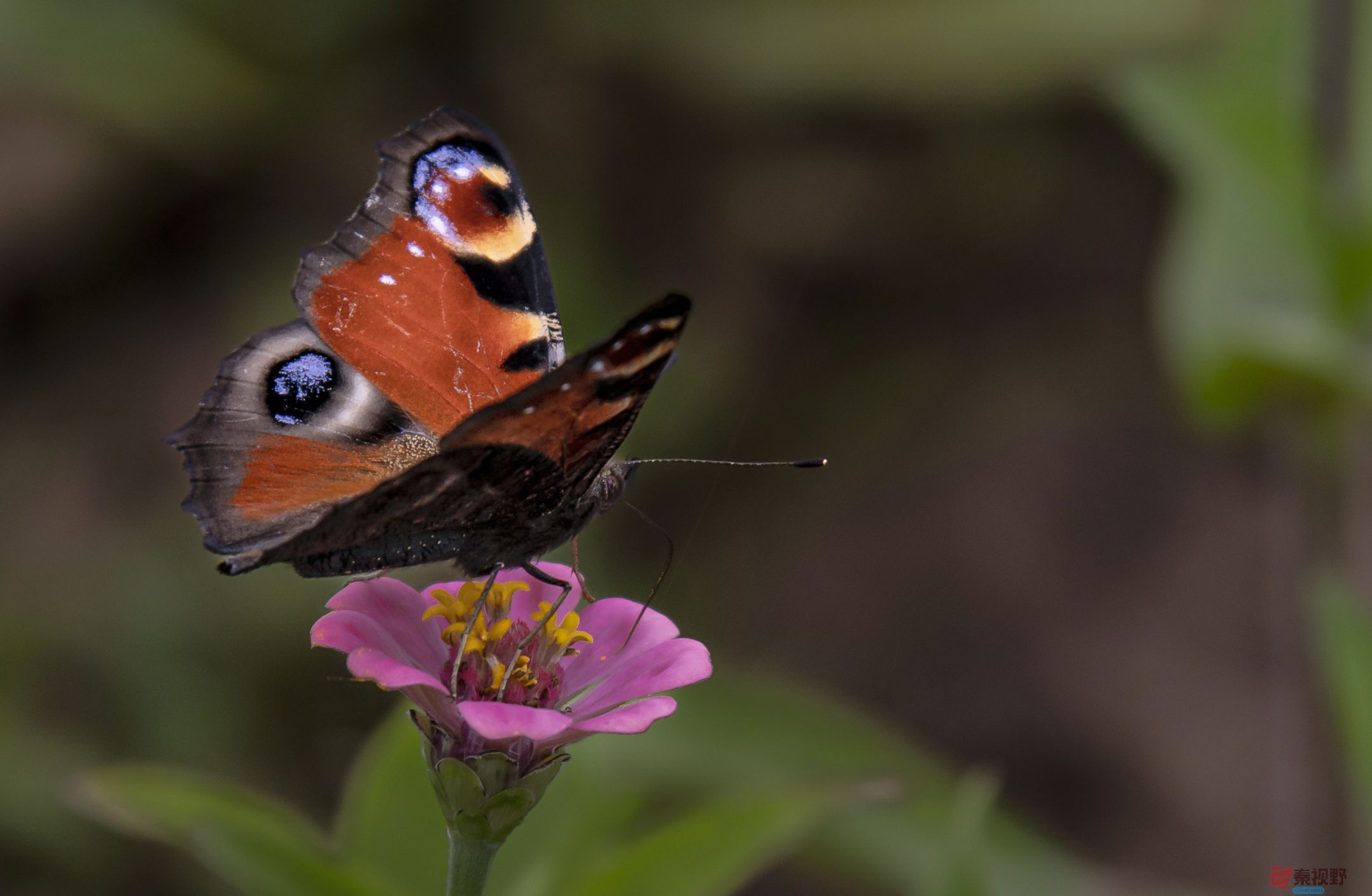 肖宝清_20250917090406_1145_463 (4).jpg