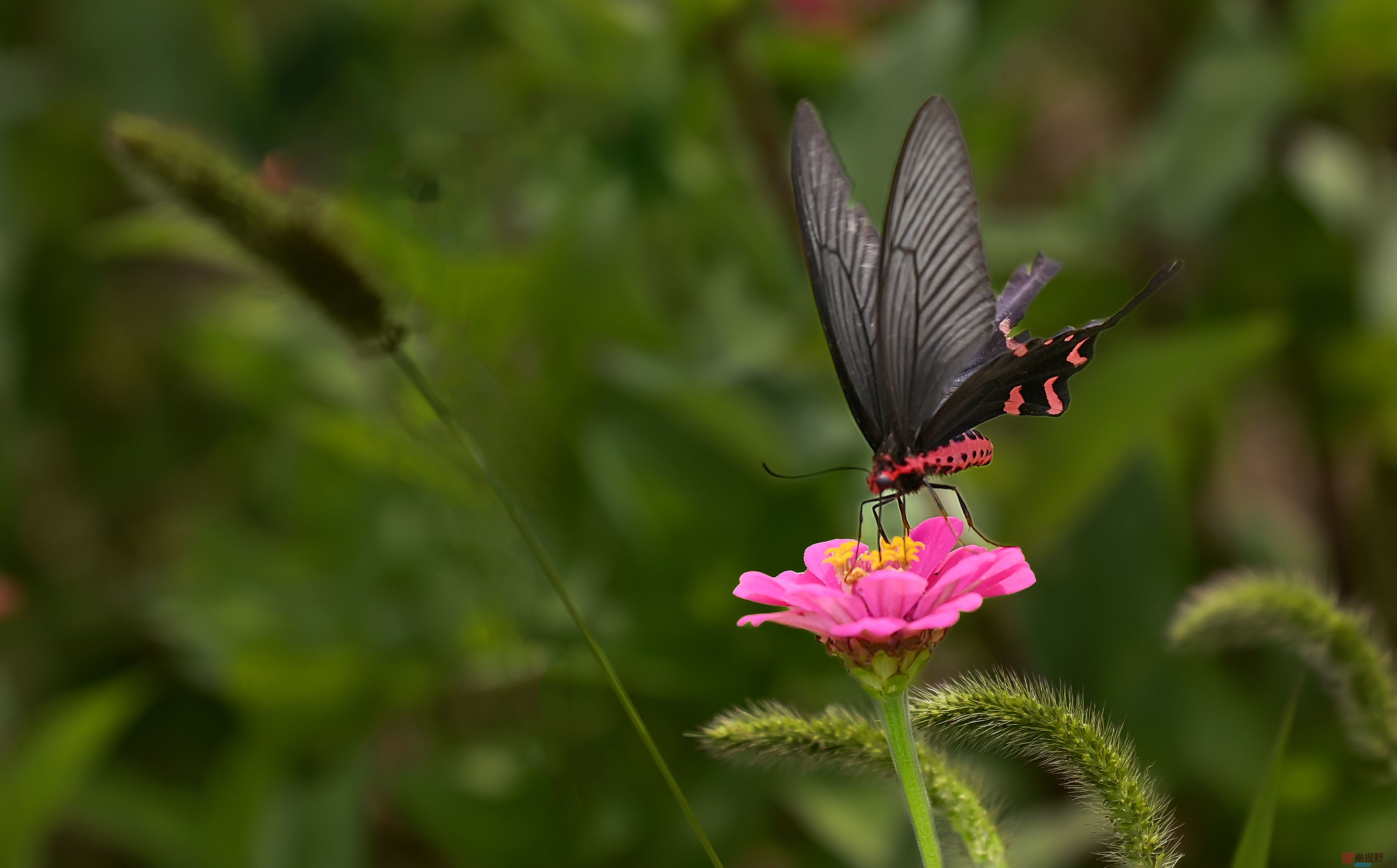 肖宝清_20250917090406_1145_463 (5).jpg