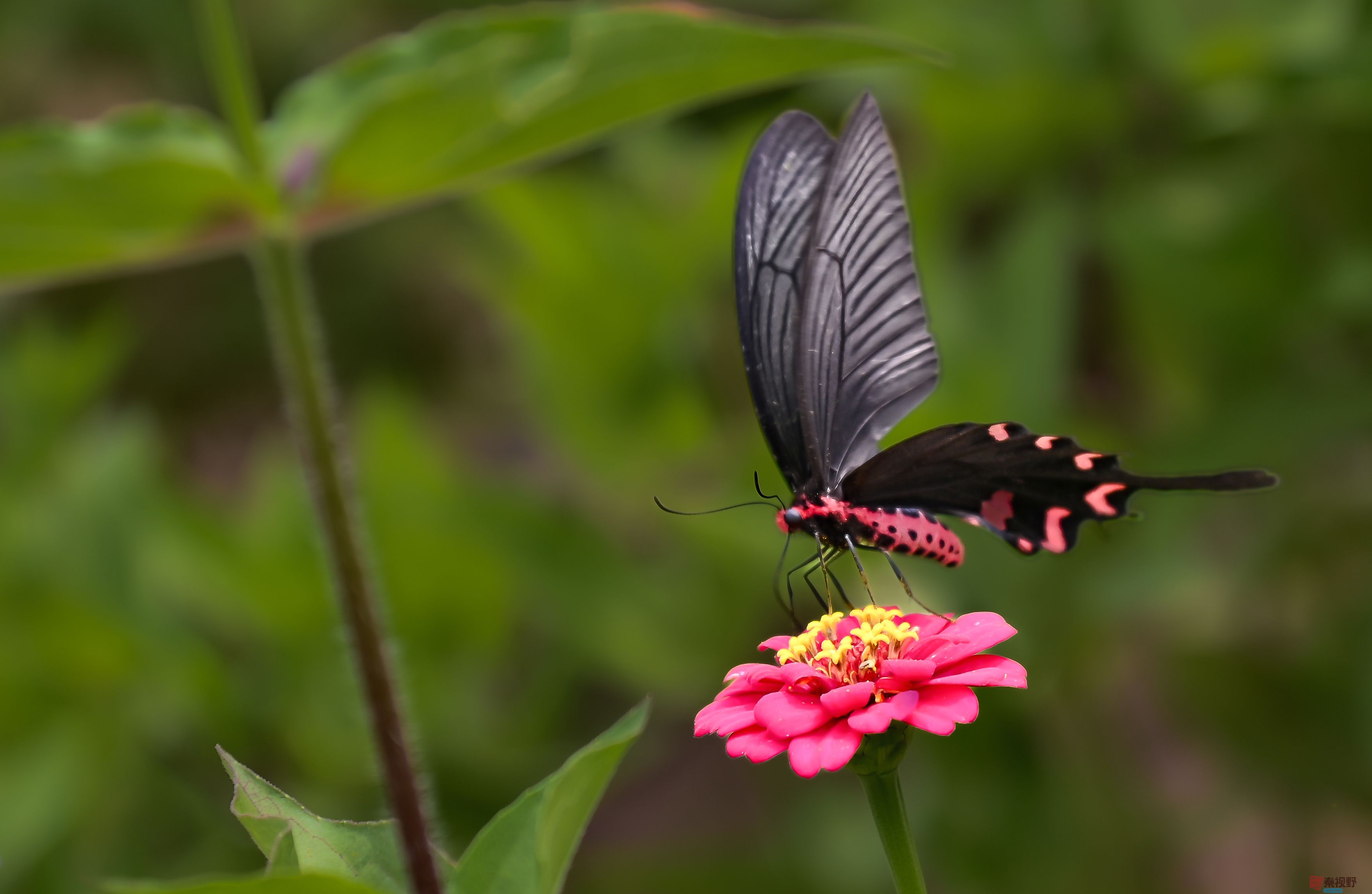 肖宝清_20250917090406_1145_463 (6).jpg