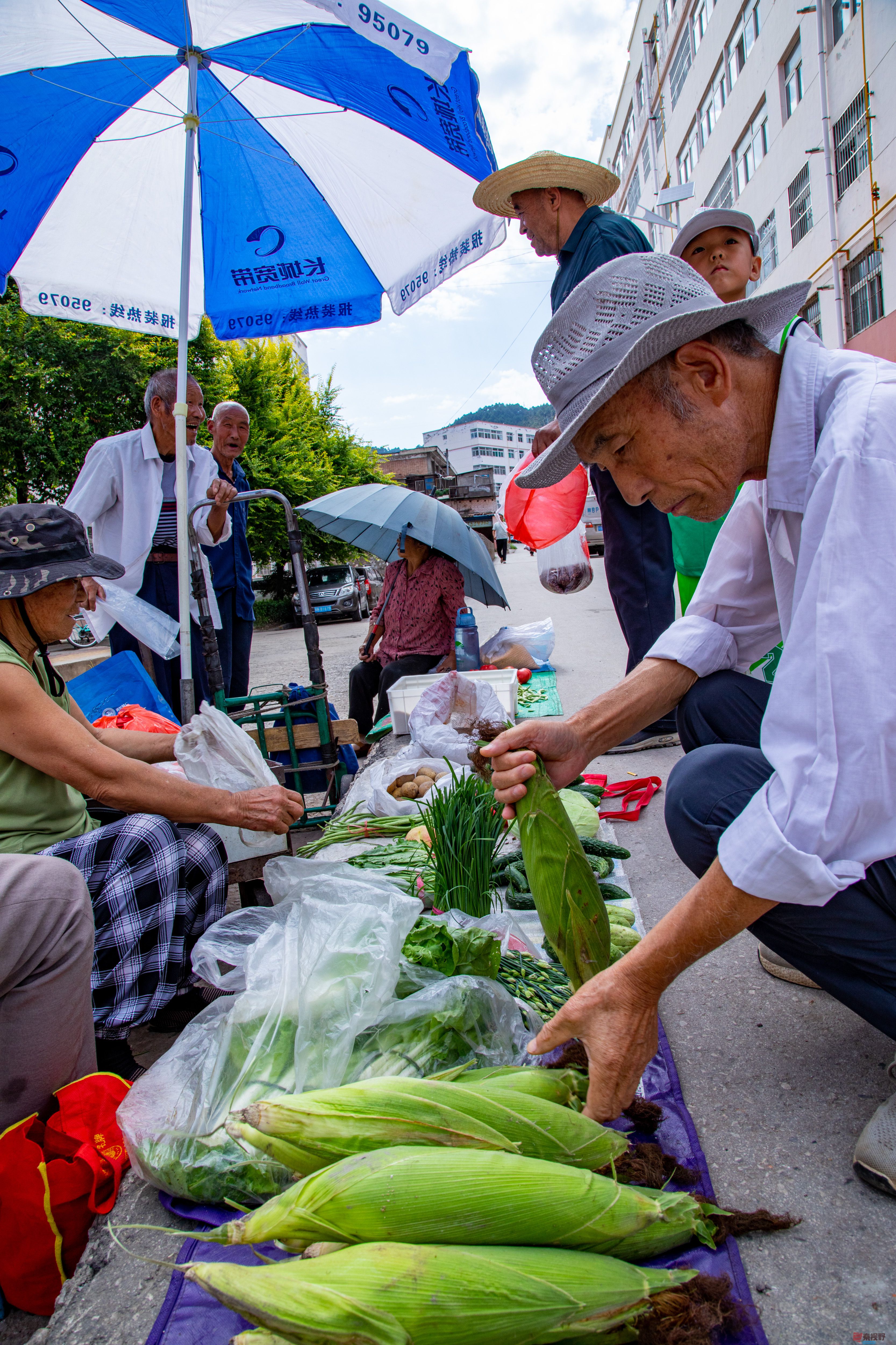 张宝光_20250916153942_1012_463 (2).jpg