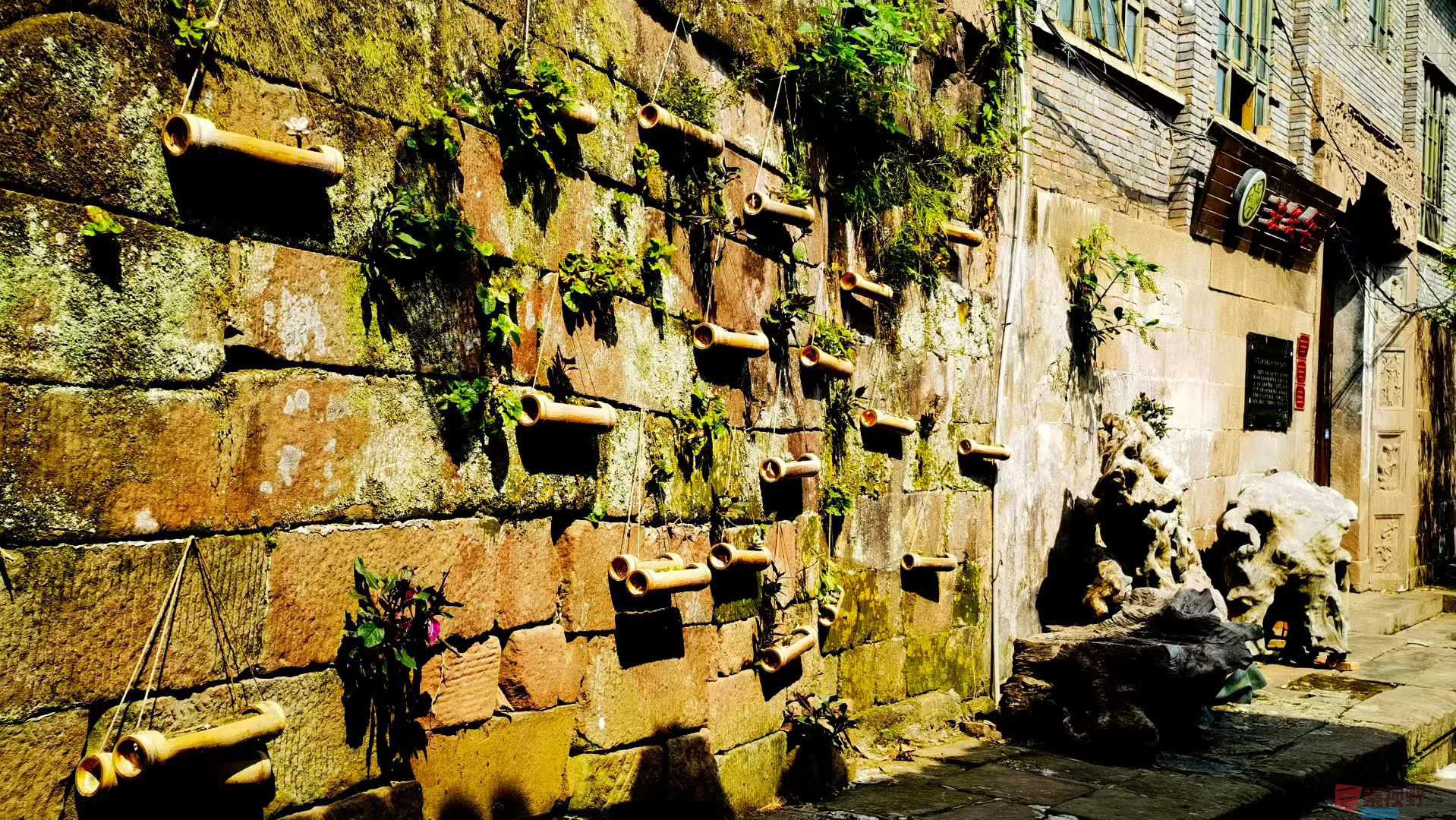 马世国_2025-09-17_161918_055 (2).jpg